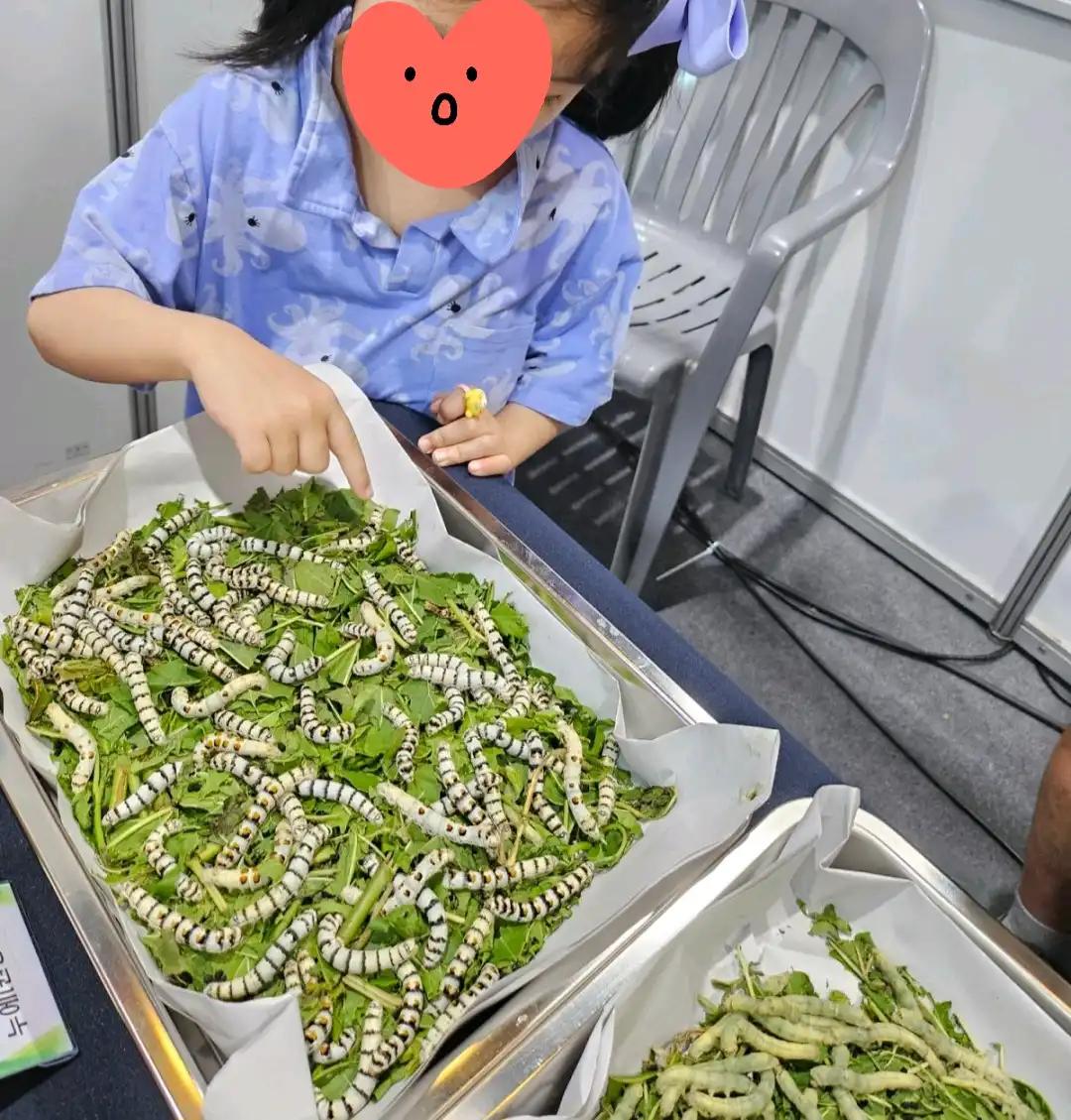 크루톡 이미지