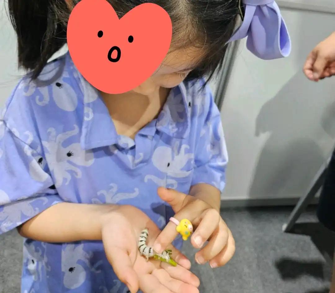 크루톡 이미지 2