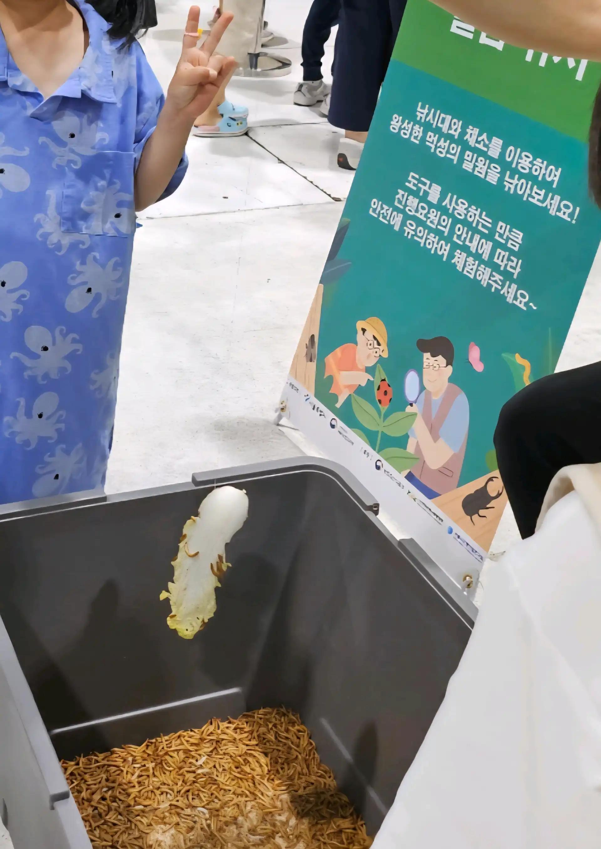 크루톡 이미지 4