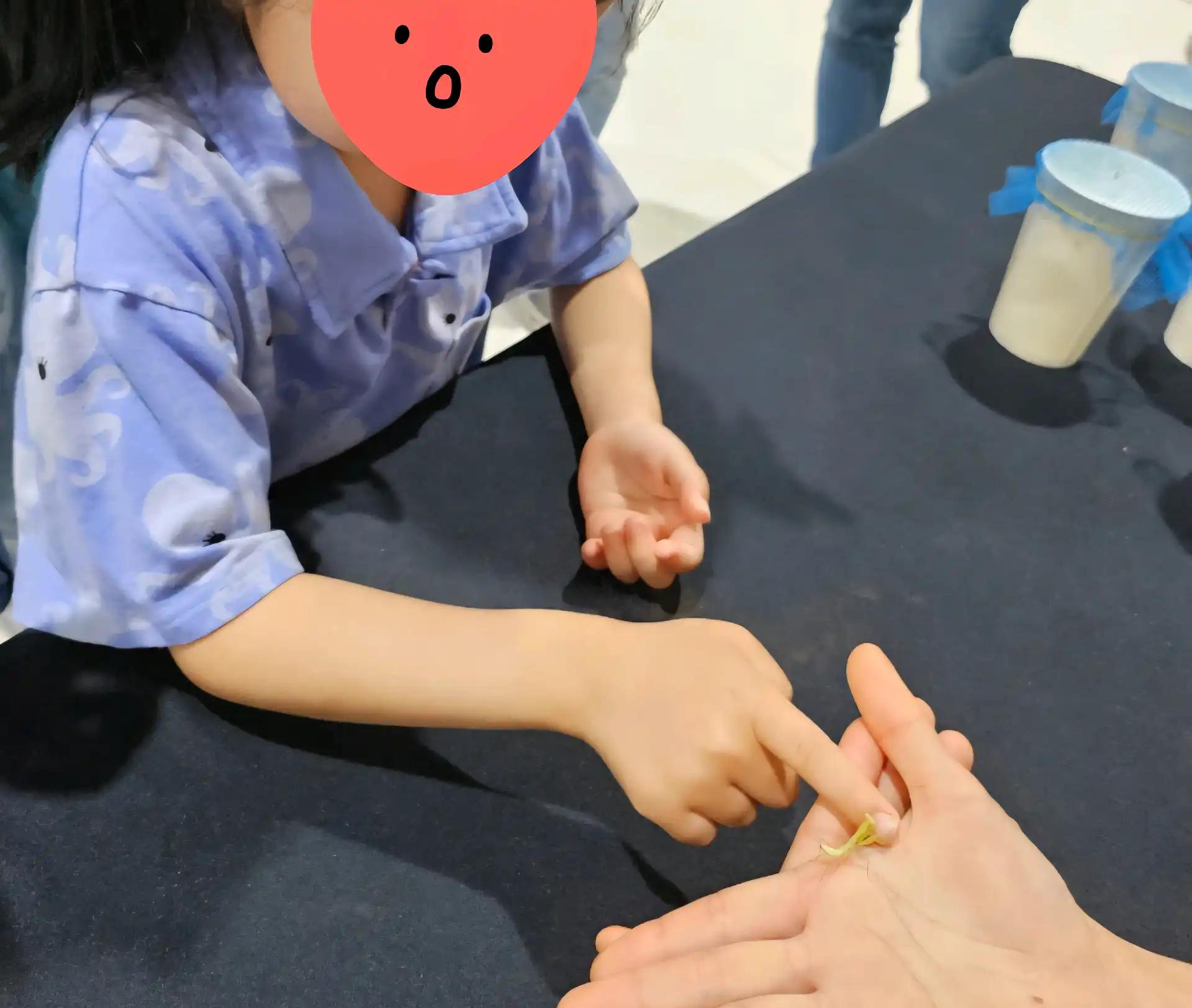 크루톡 이미지 5