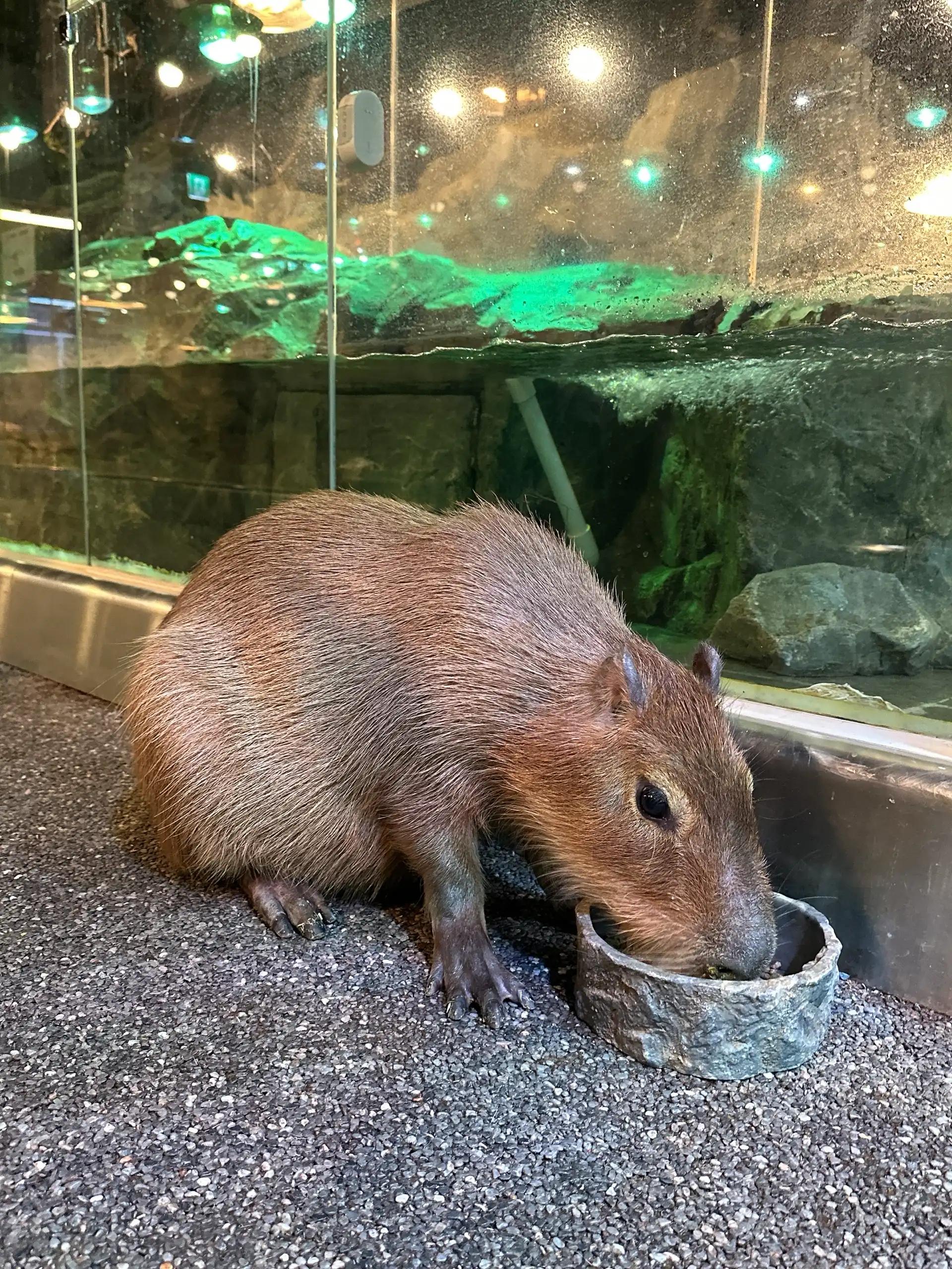 크루톡 이미지 1