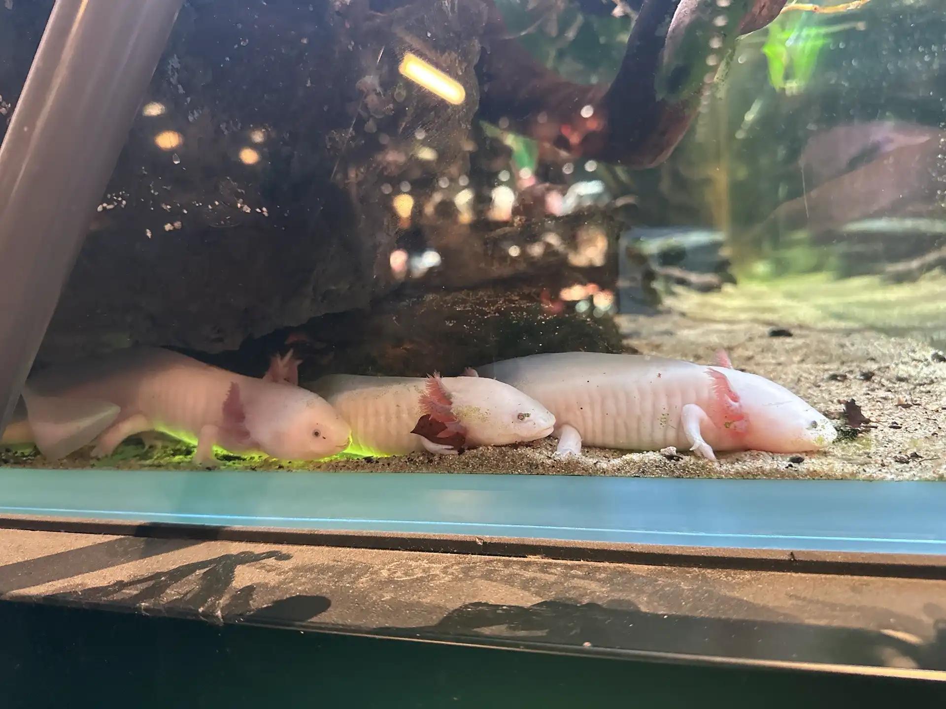 크루톡 이미지 2