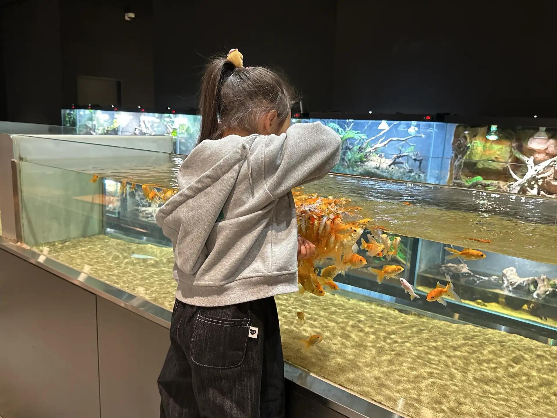 크루톡 이미지 3