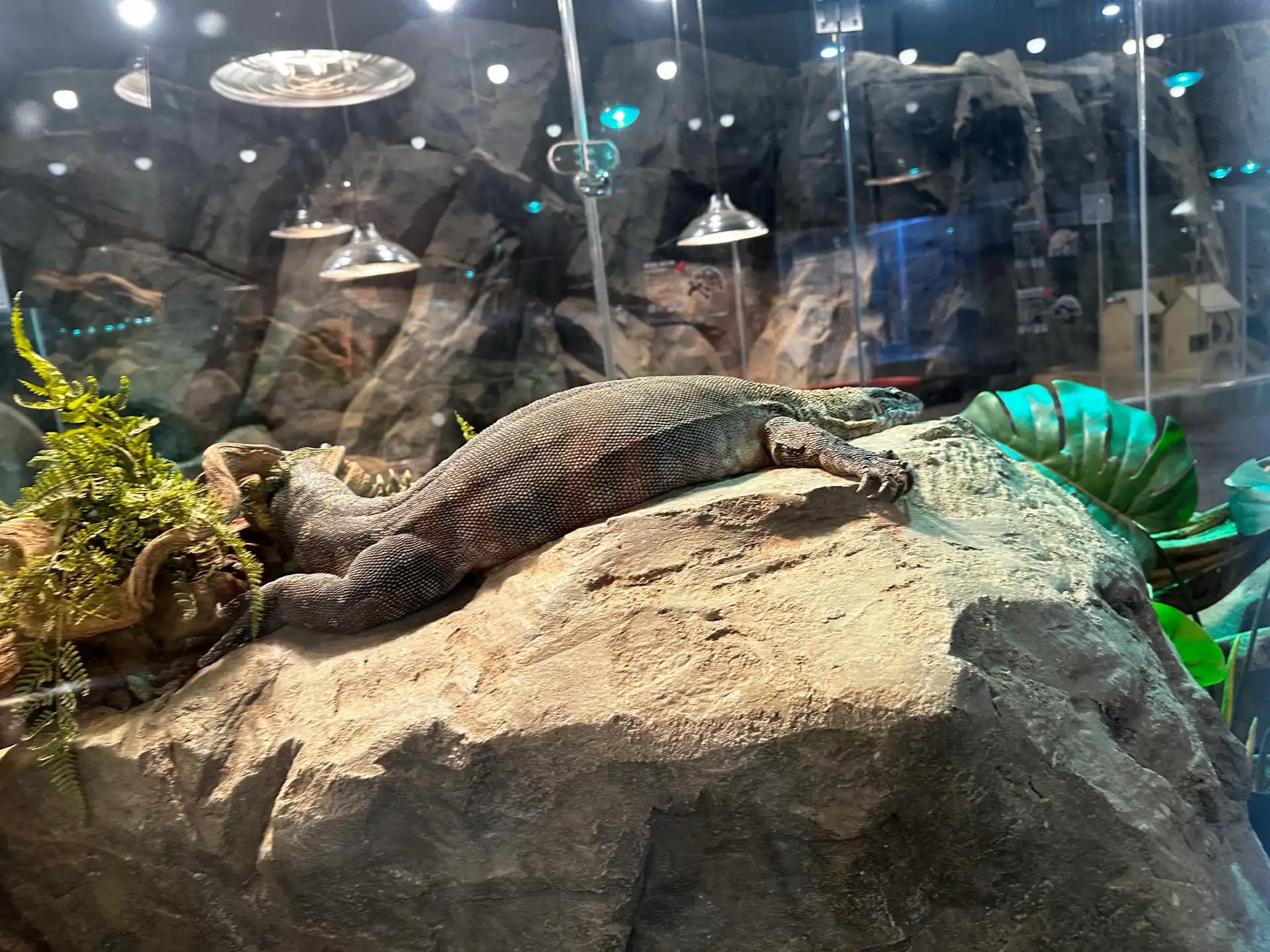 크루톡 이미지 4