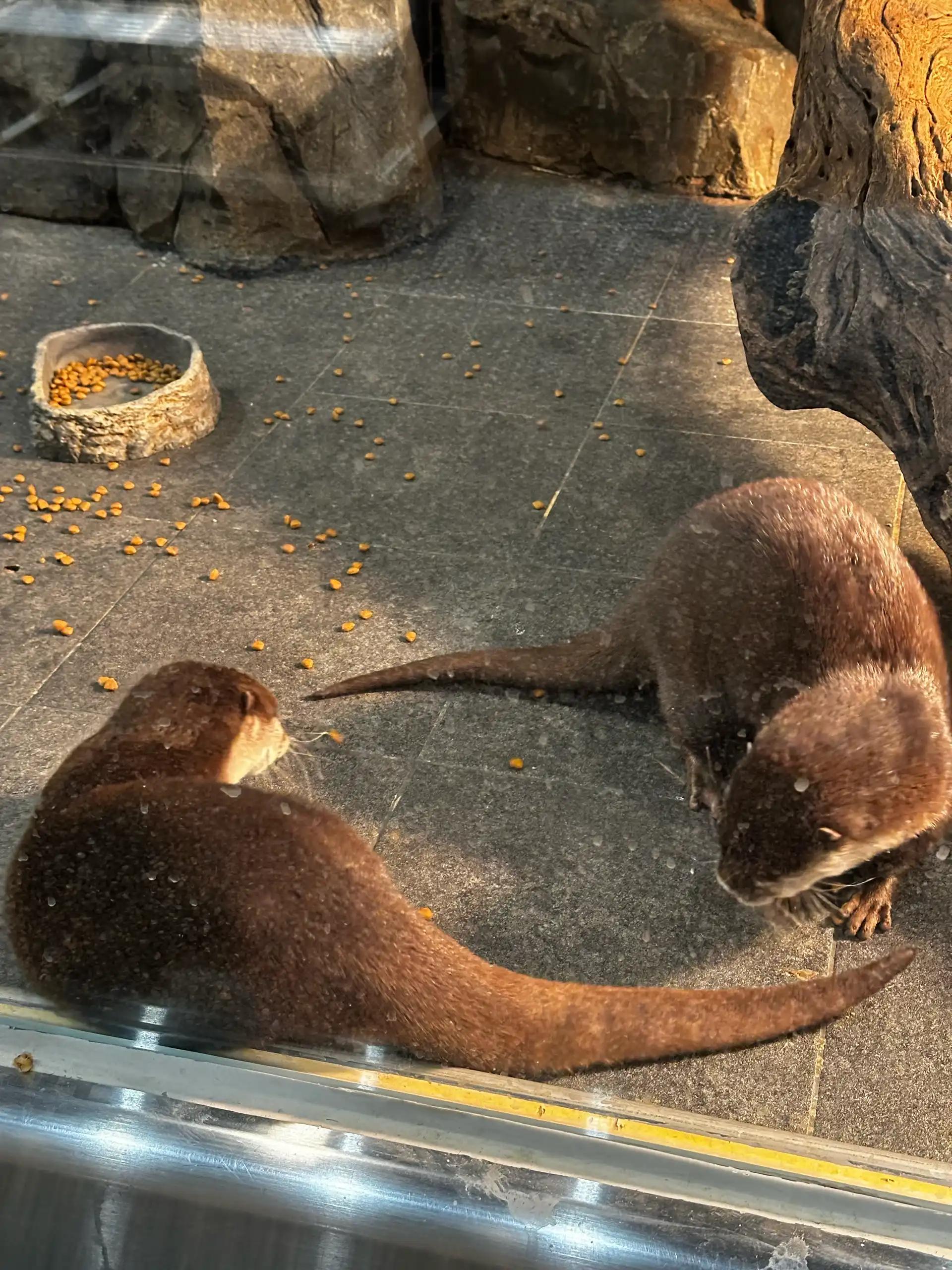 크루톡 이미지 6