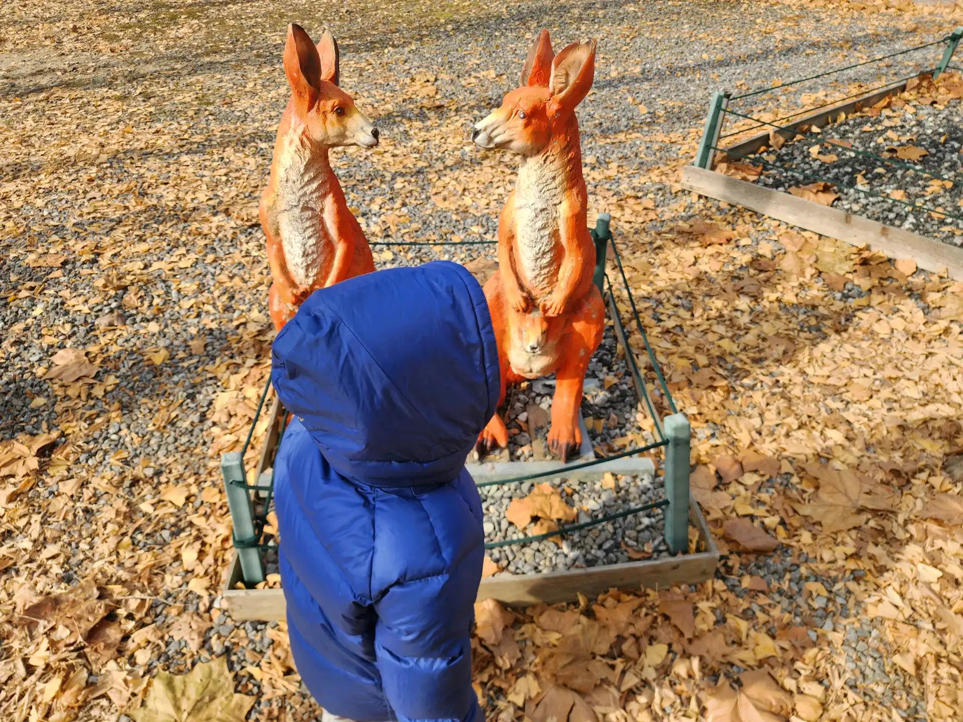 크루톡 이미지 4