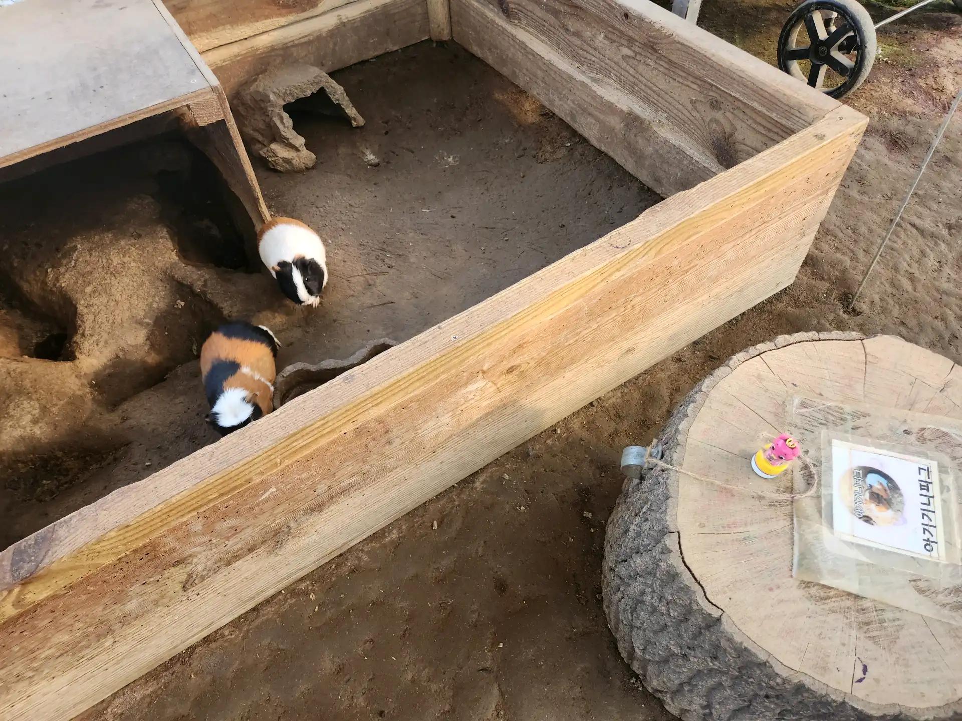 크루톡 이미지 3