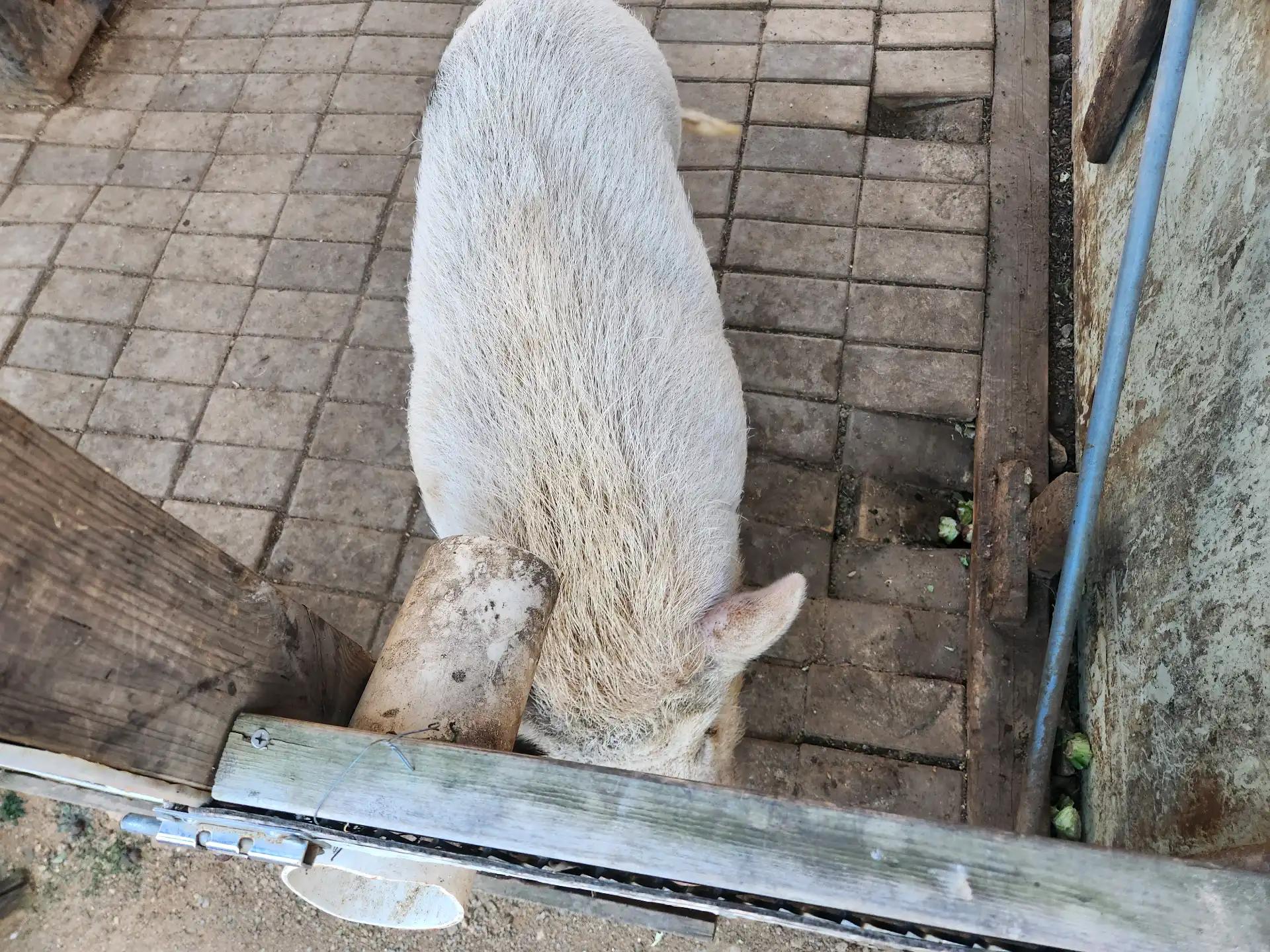 크루톡 이미지 4