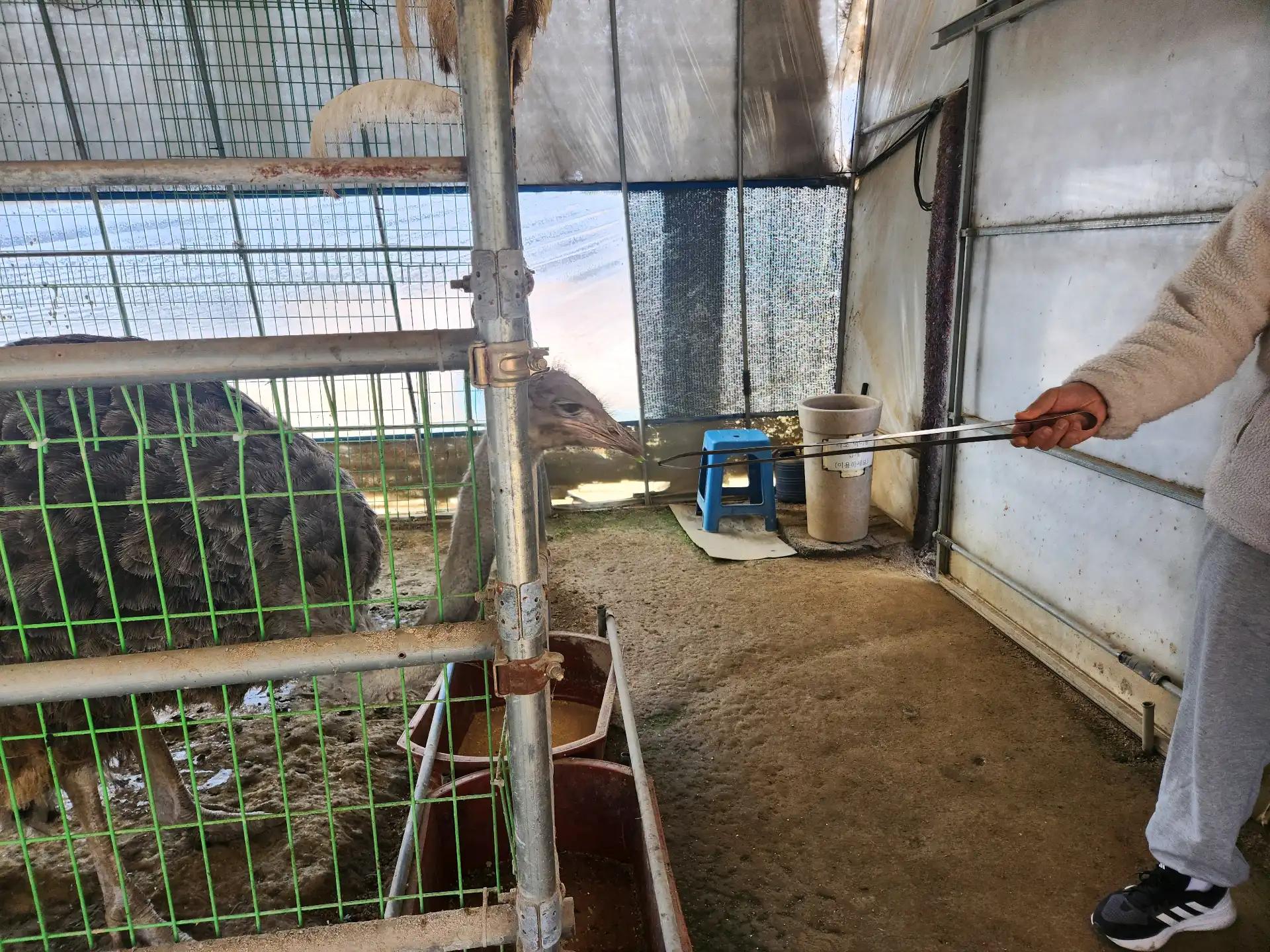 크루톡 이미지 5