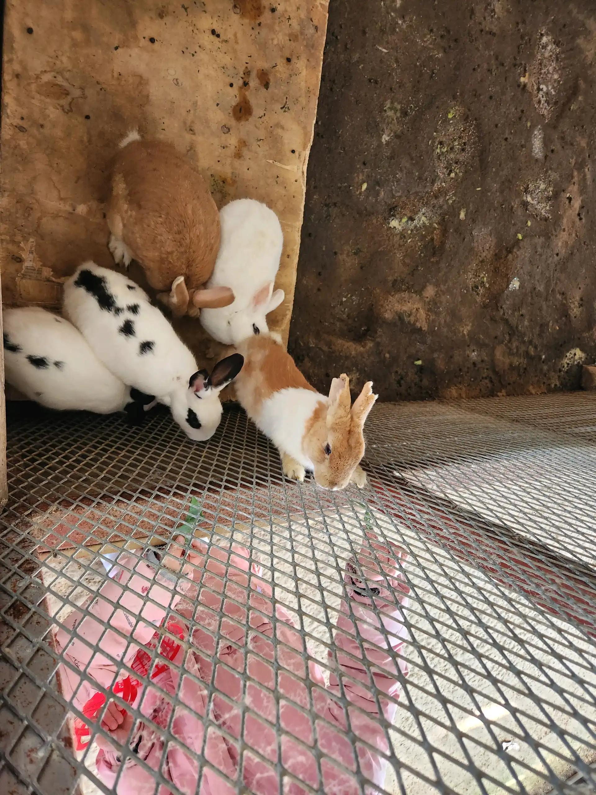 크루톡 이미지 6