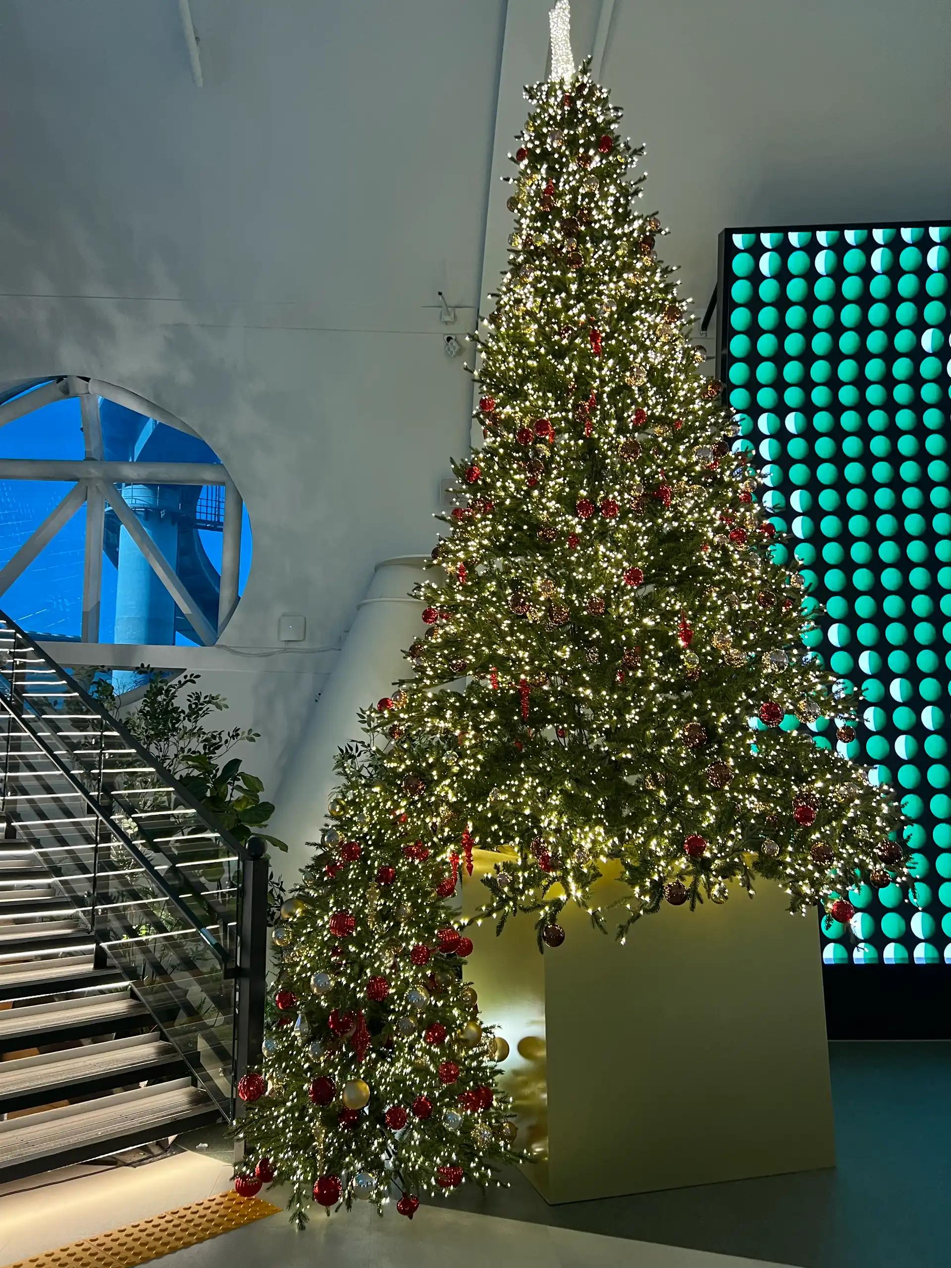 크루톡 이미지 7