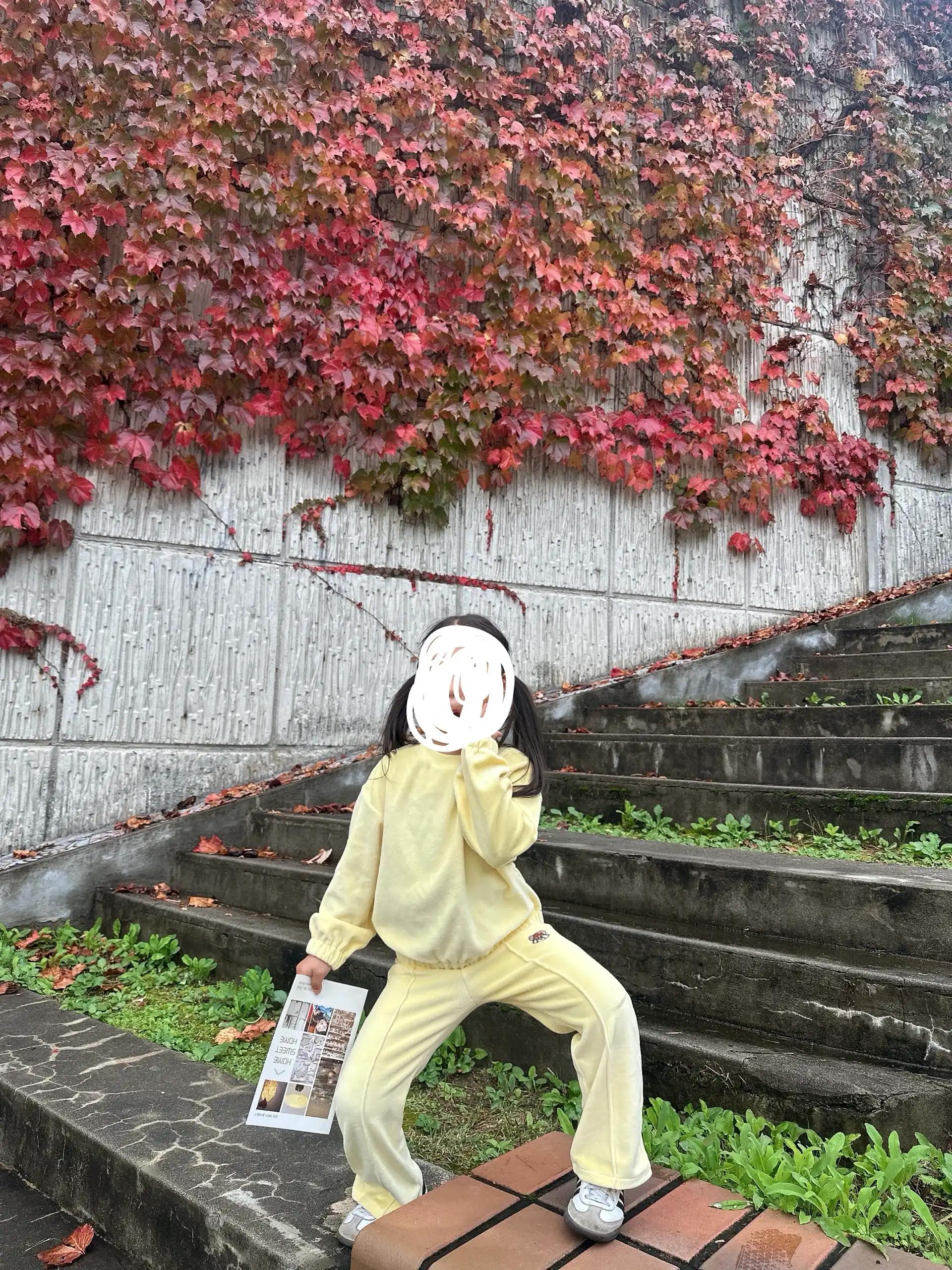 크루톡 이미지 2