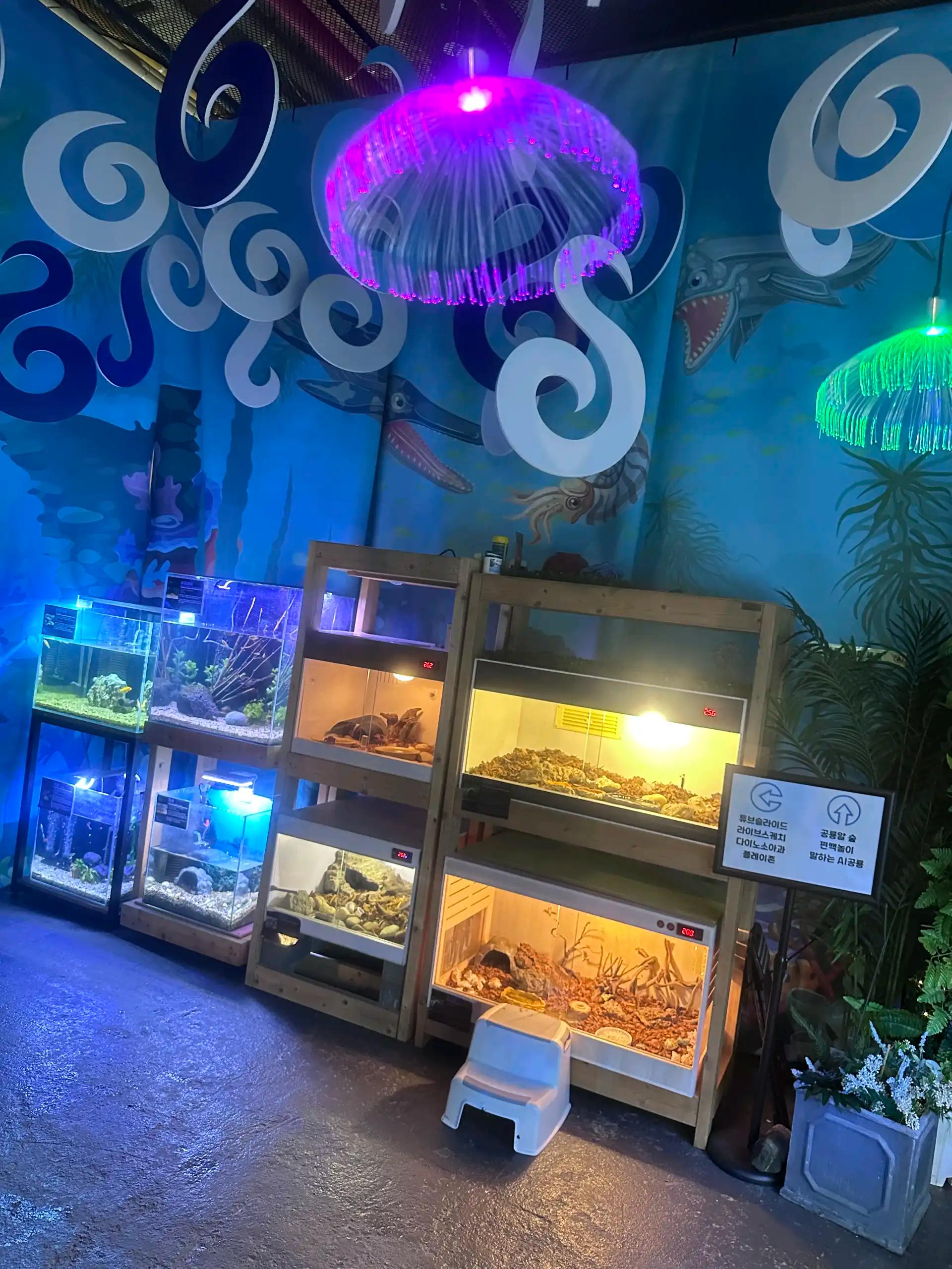 크루톡 이미지 4