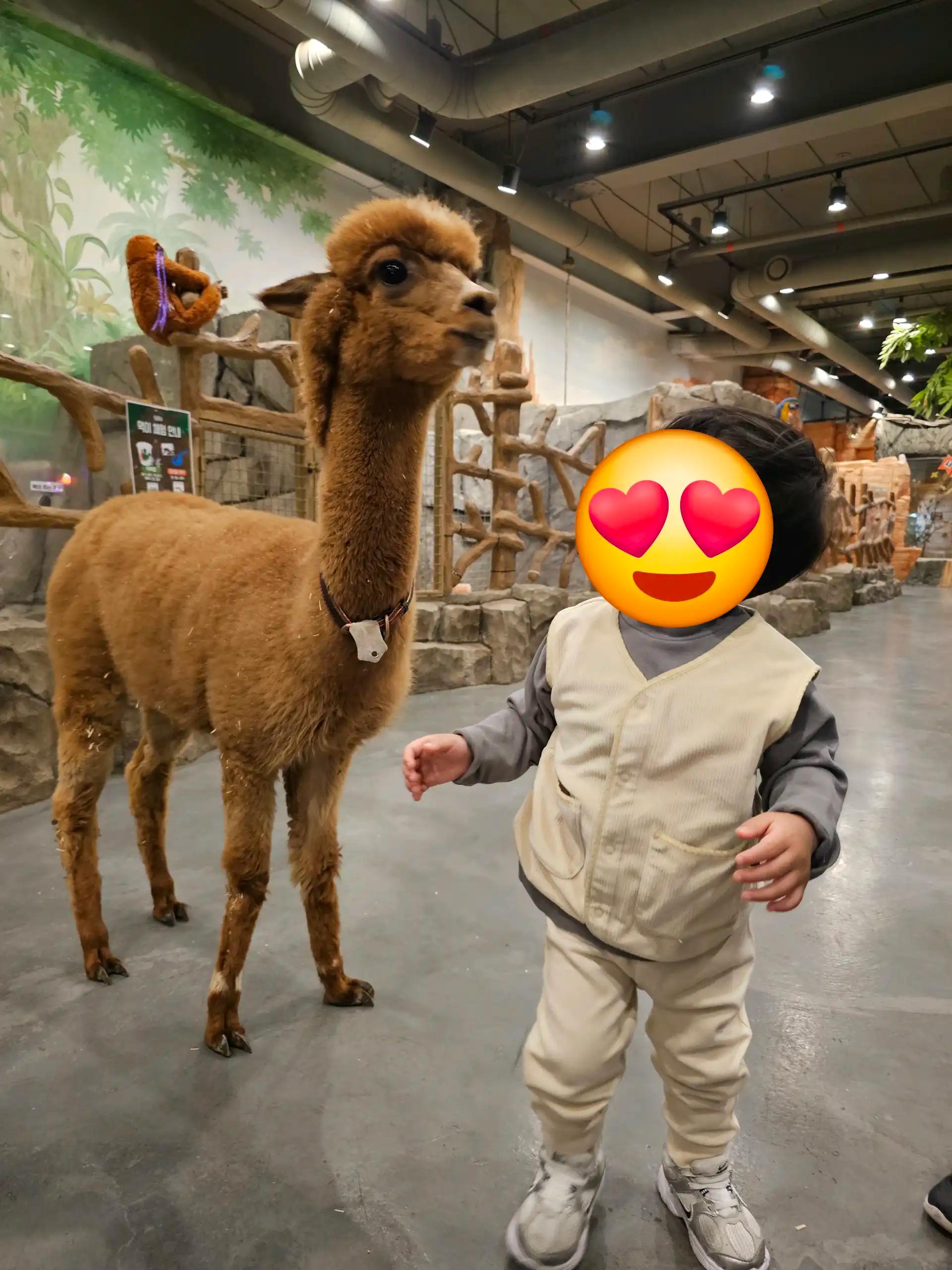 크루톡 이미지 1