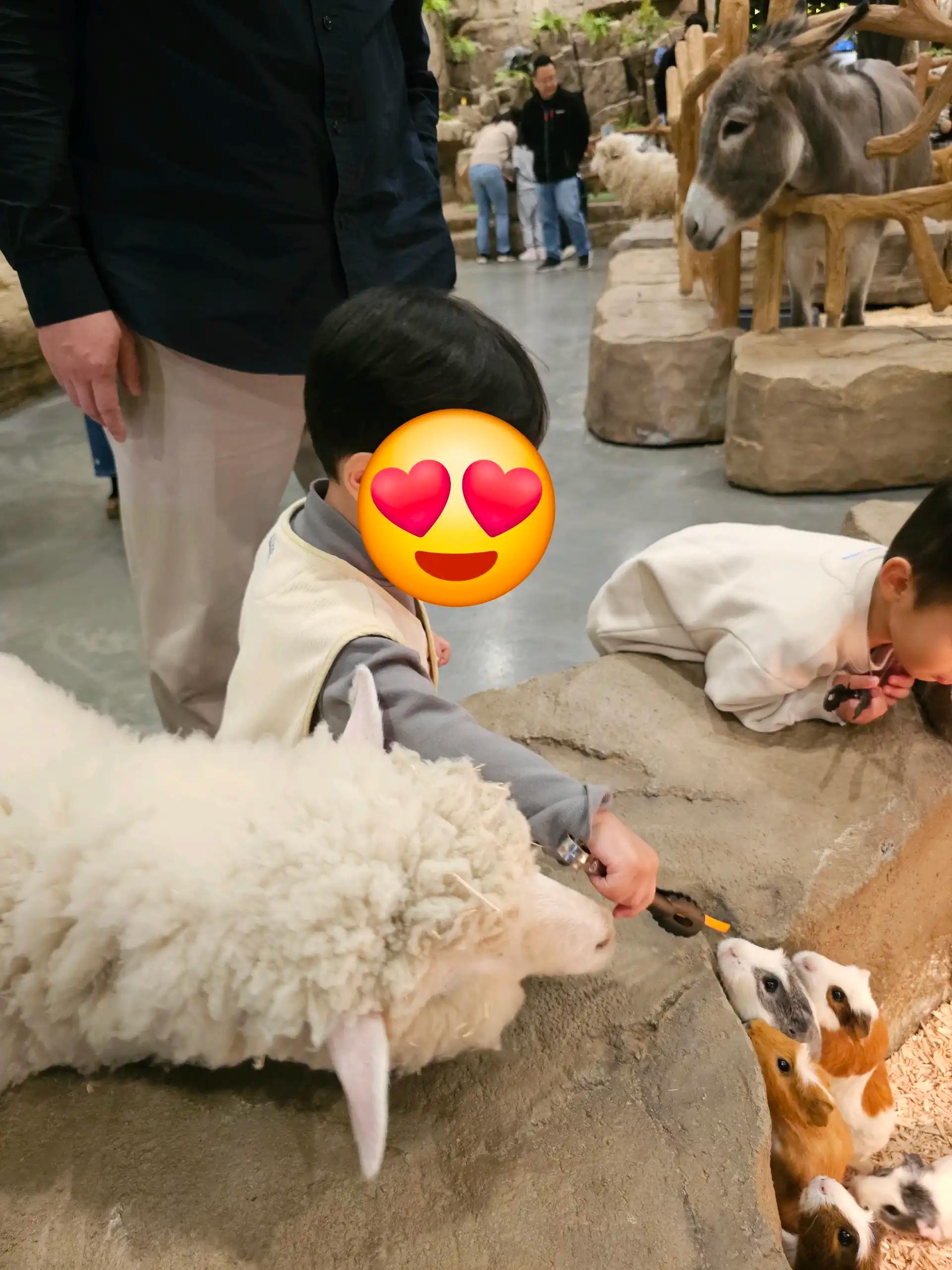 크루톡 이미지 2