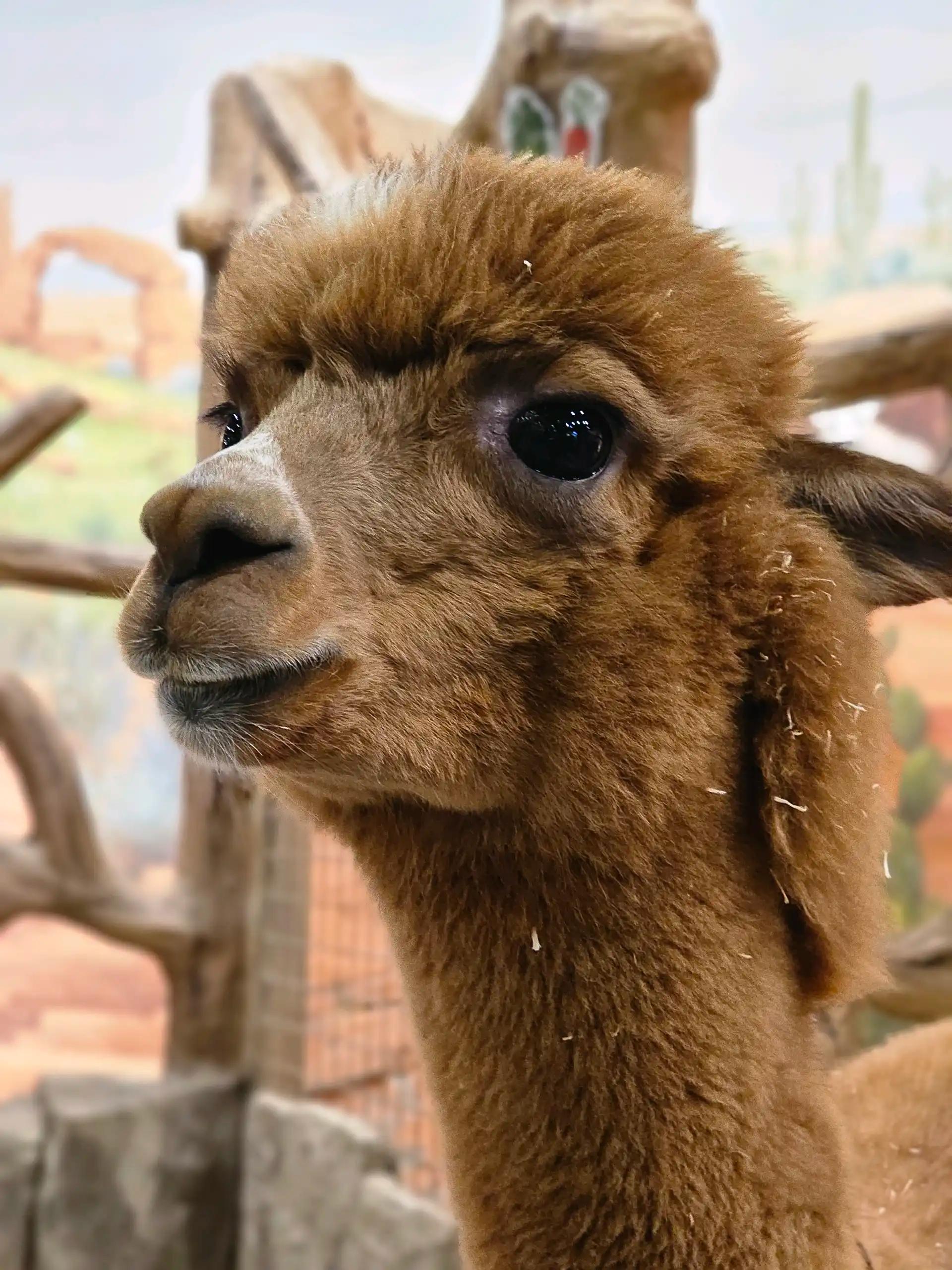 크루톡 이미지 3