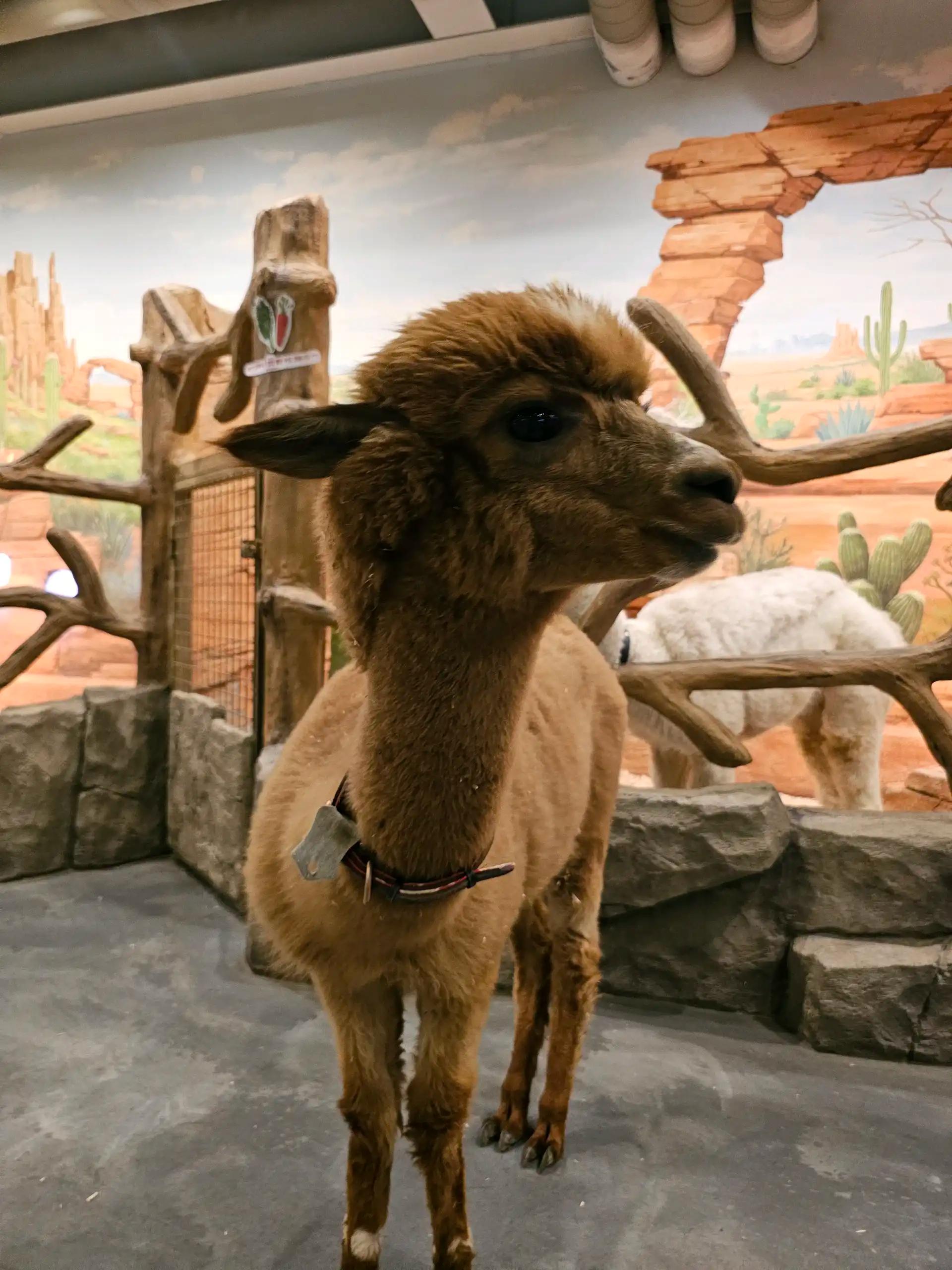 크루톡 이미지 4