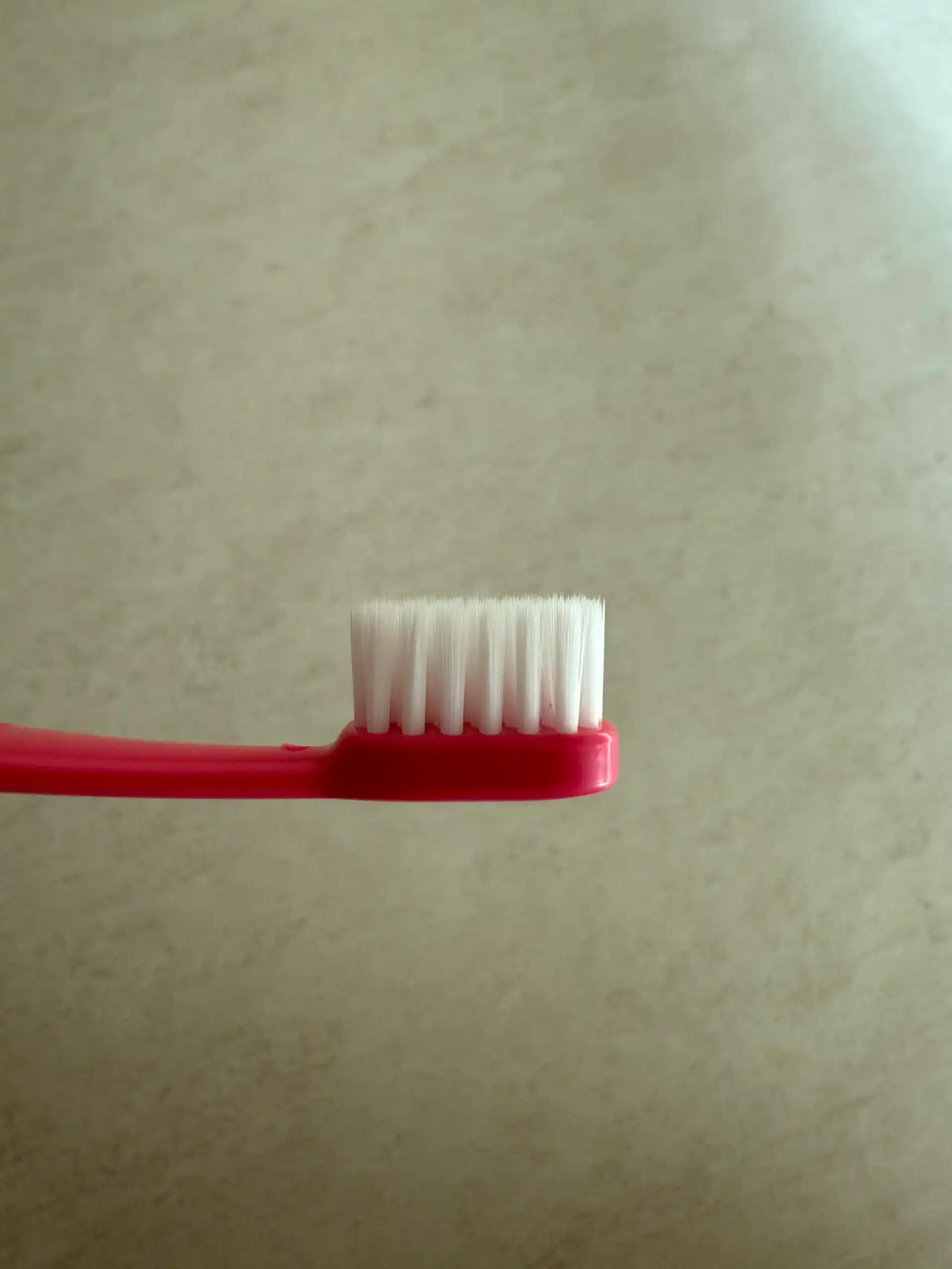 크루톡 이미지 6