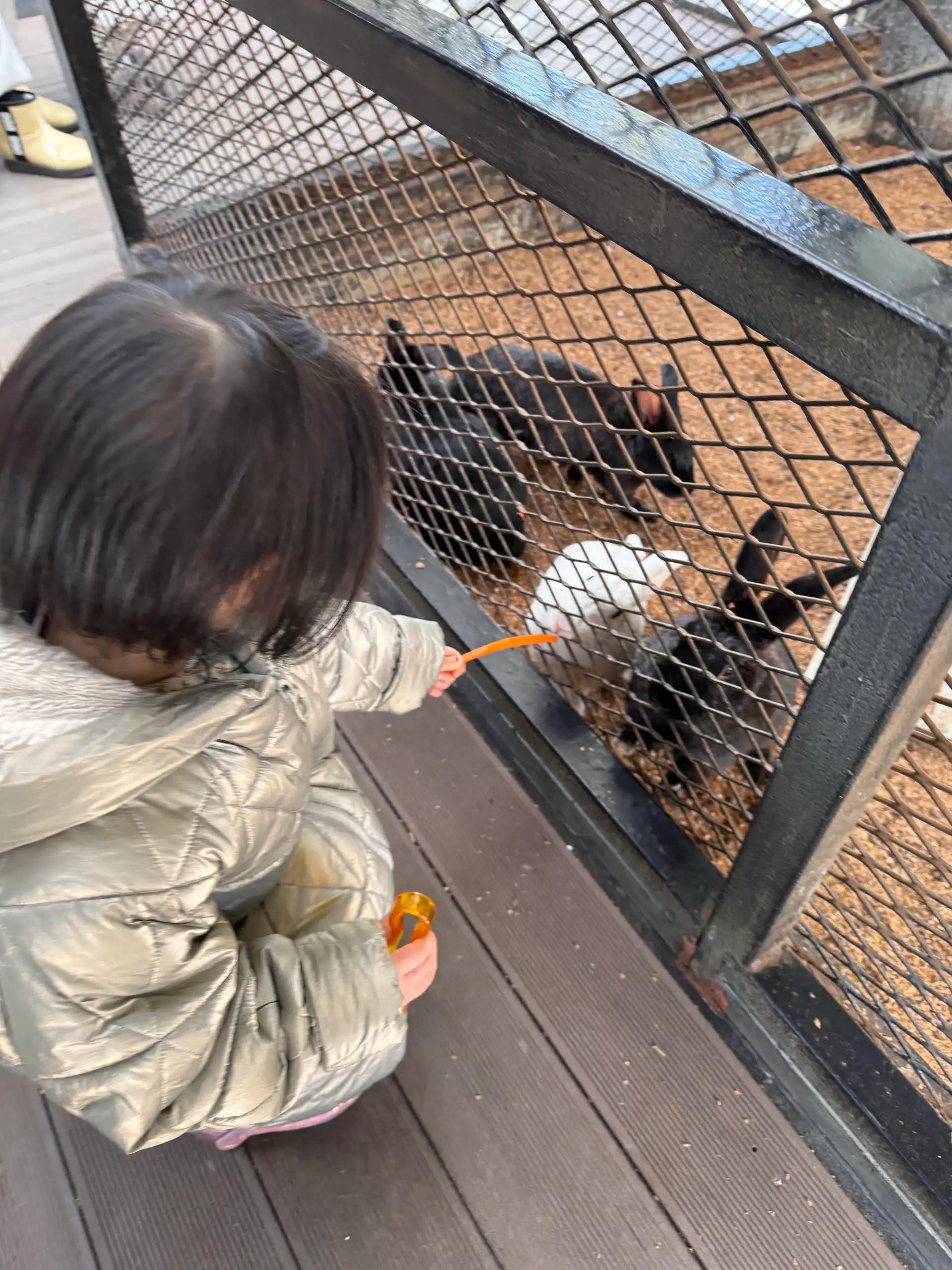 크루톡 이미지 1