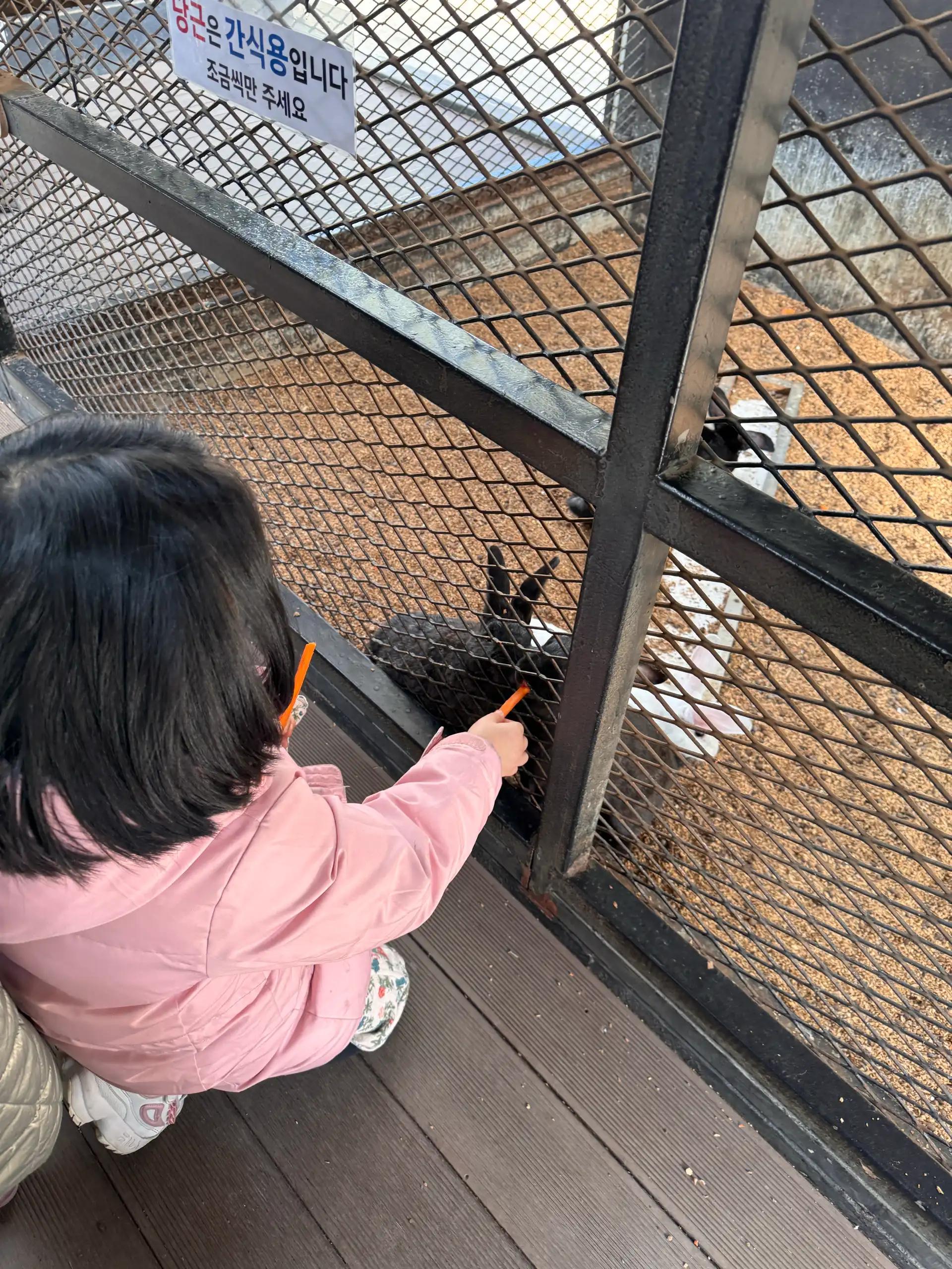 크루톡 이미지 2