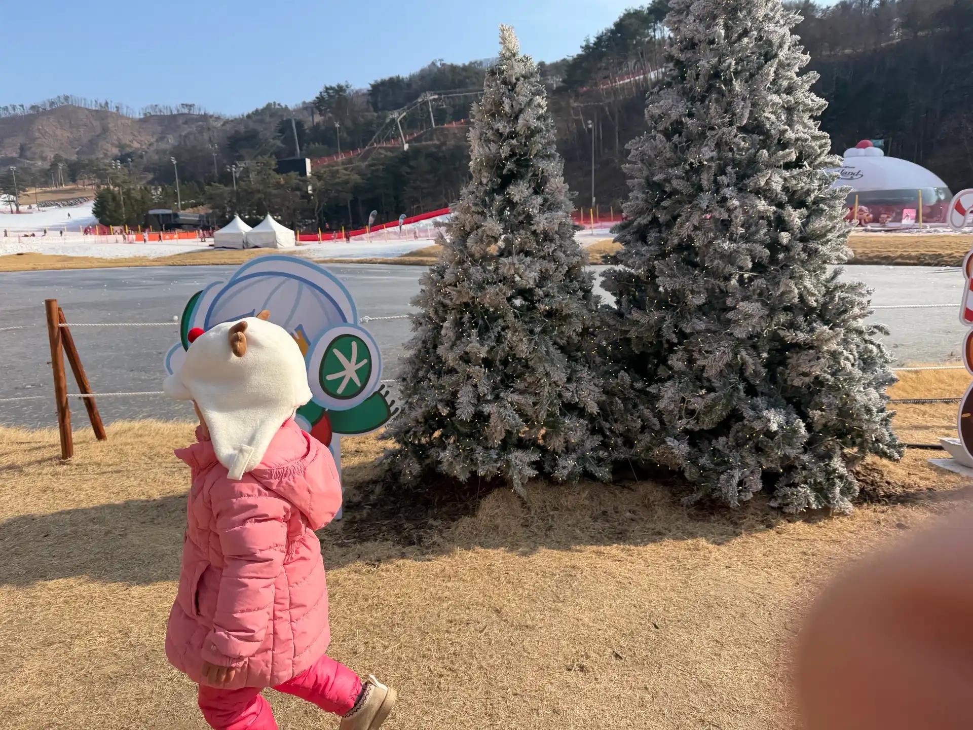 크루톡 이미지 1