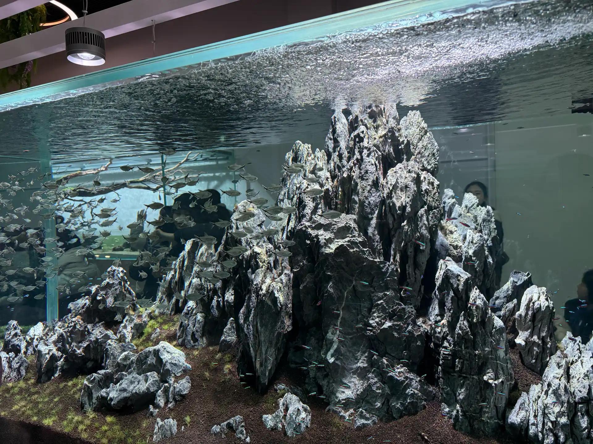 크루톡 이미지 2