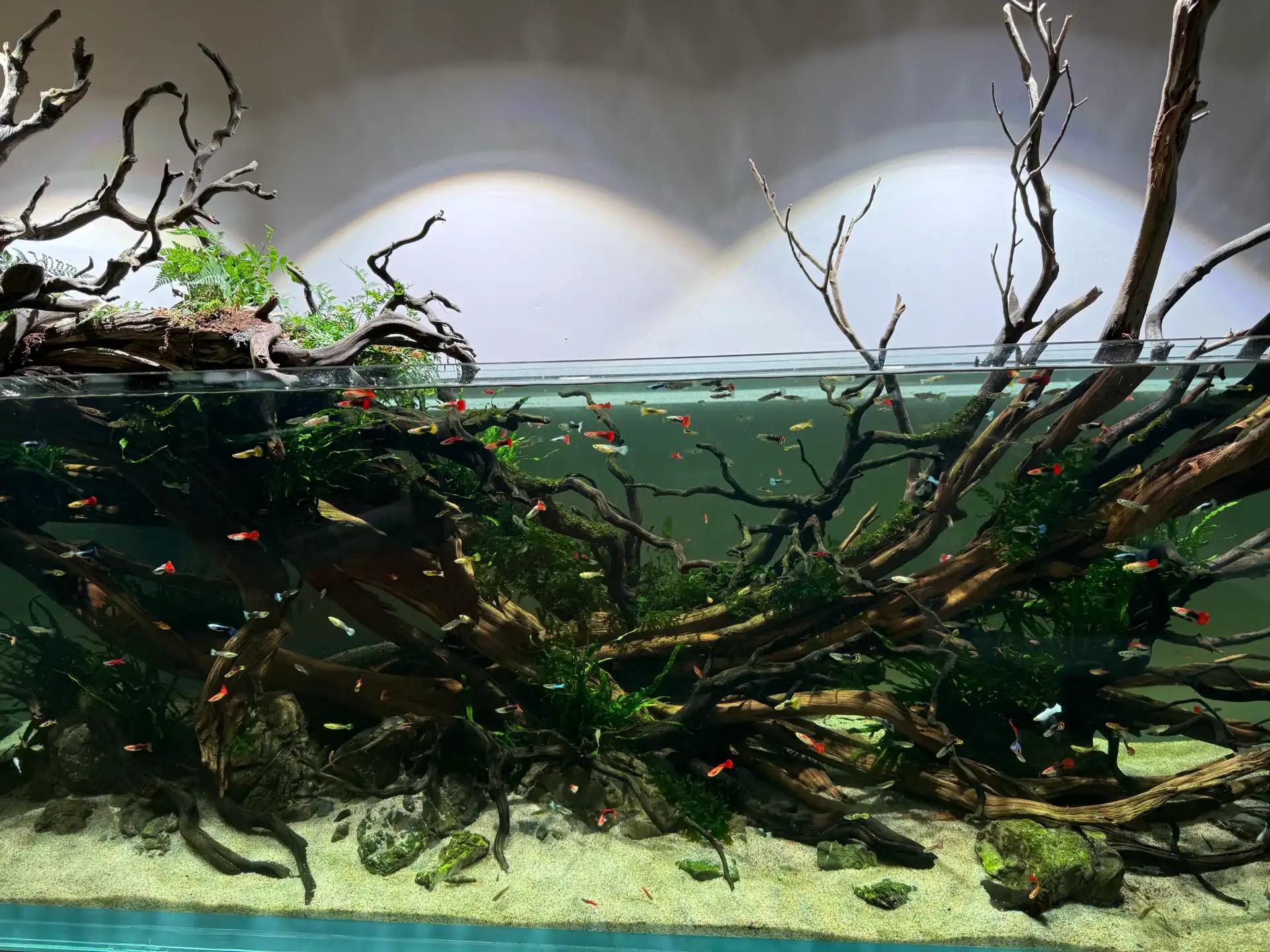 크루톡 이미지 3