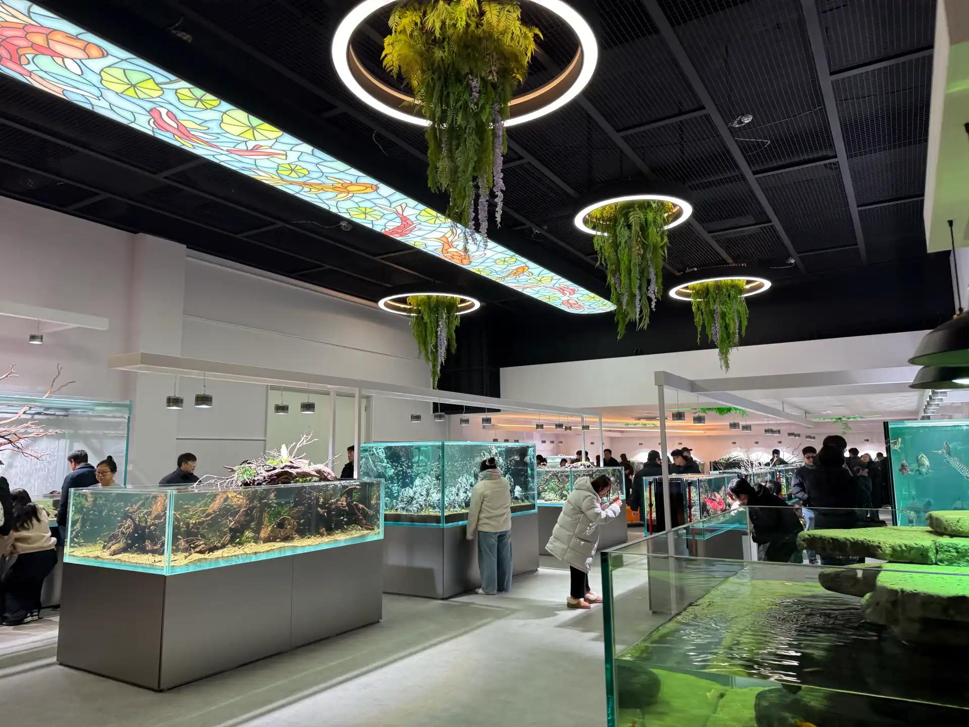 크루톡 이미지 5