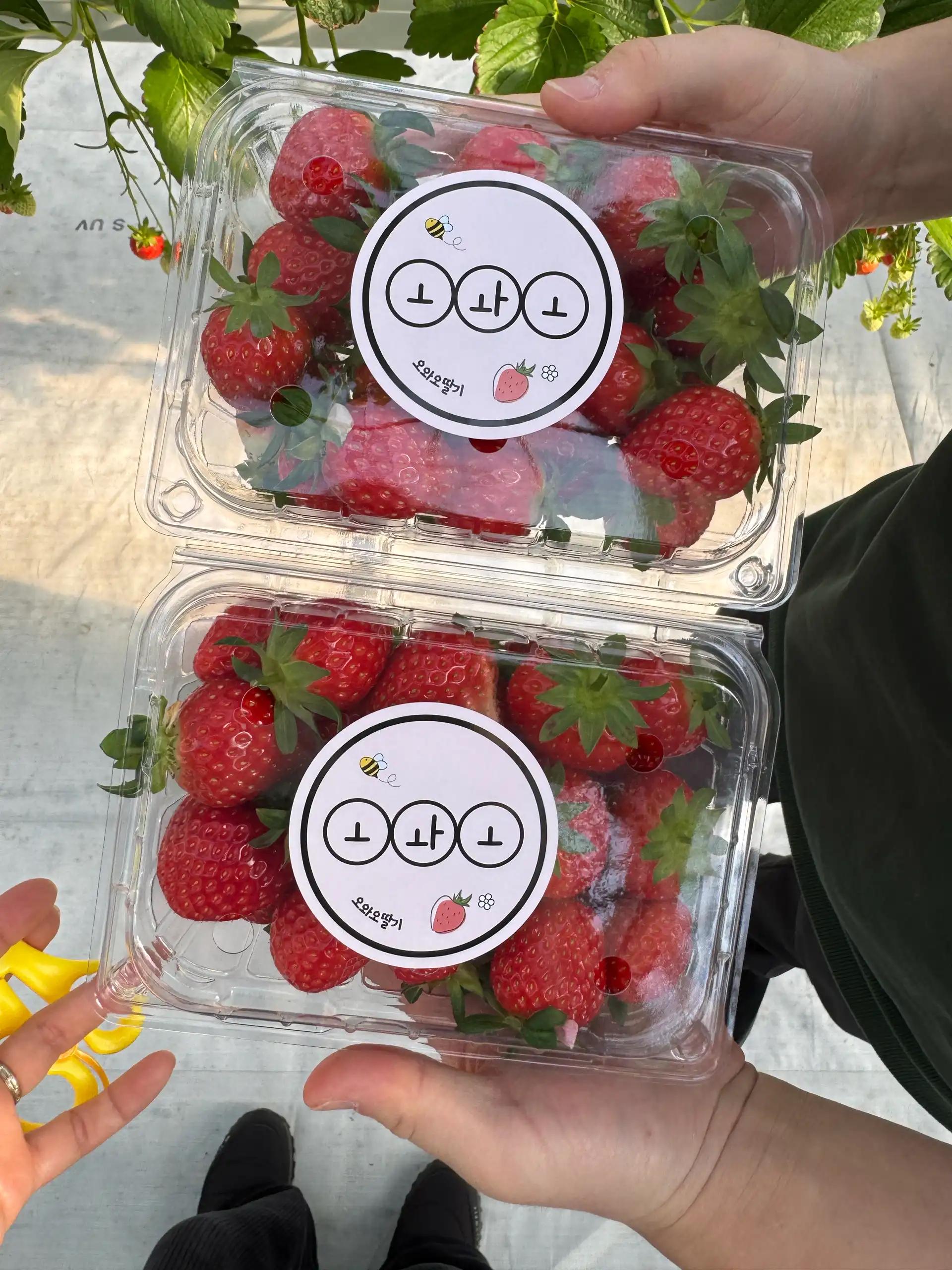 크루톡 이미지 2