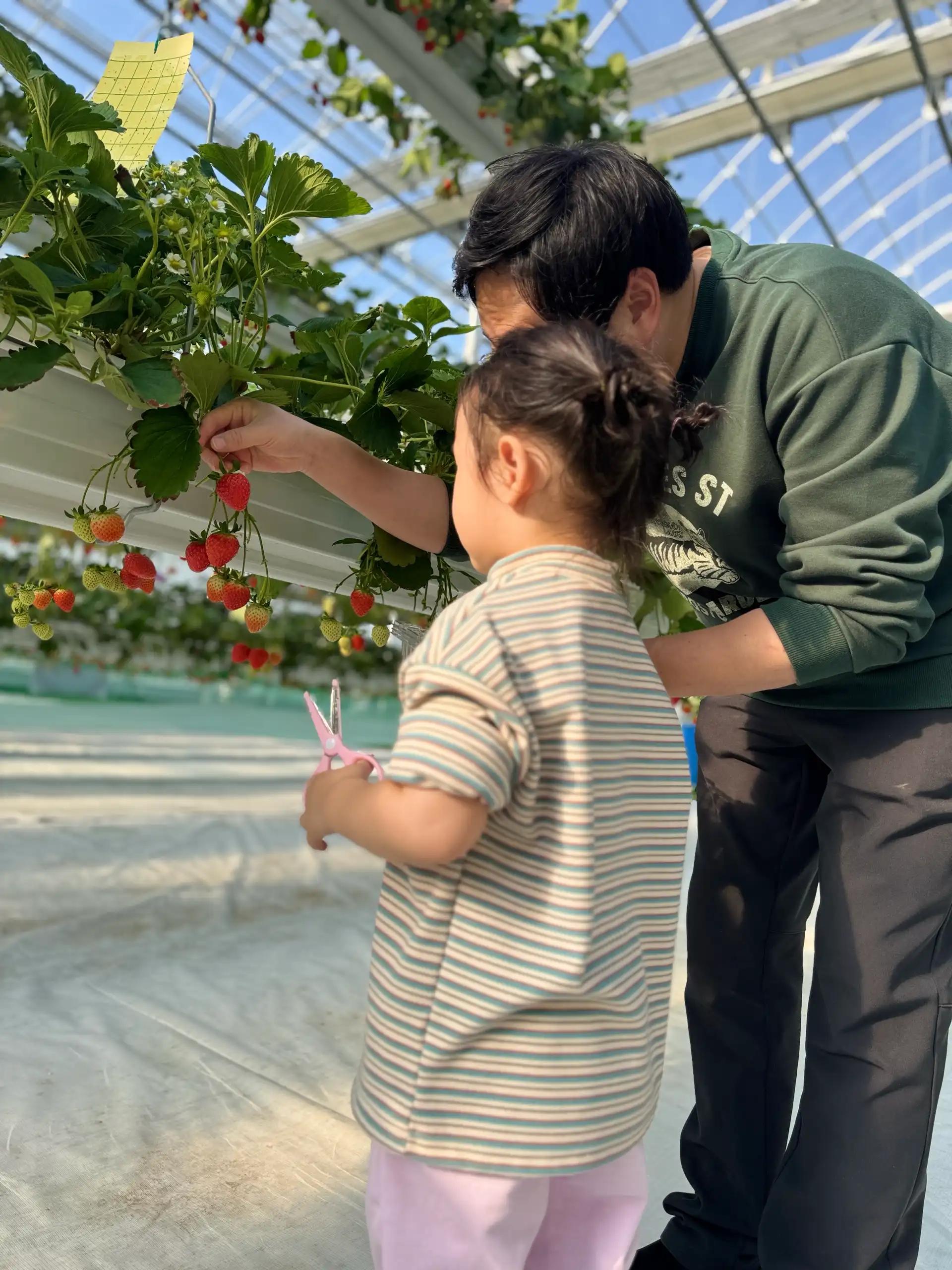 크루톡 이미지 3