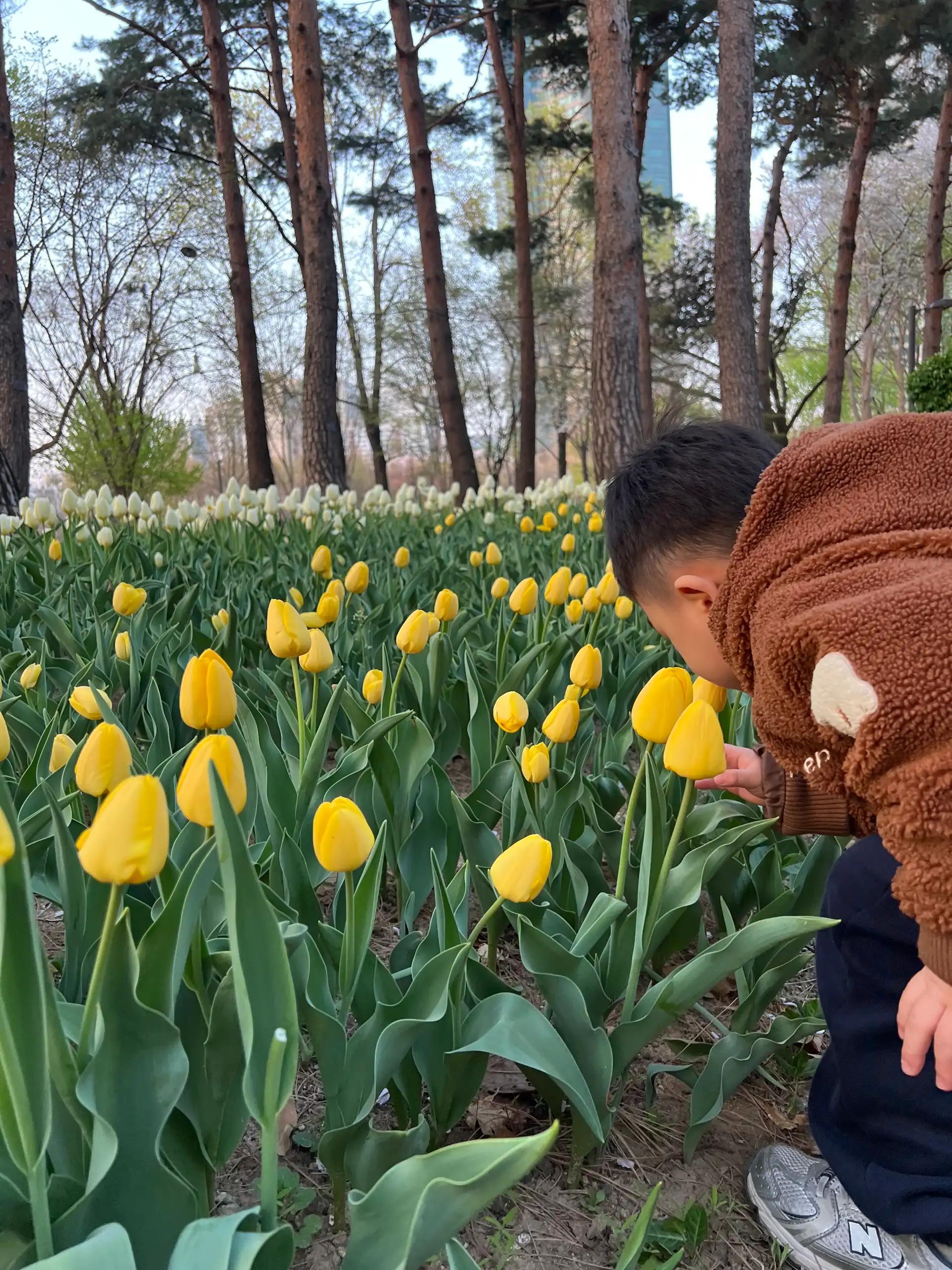 크루톡 이미지 2