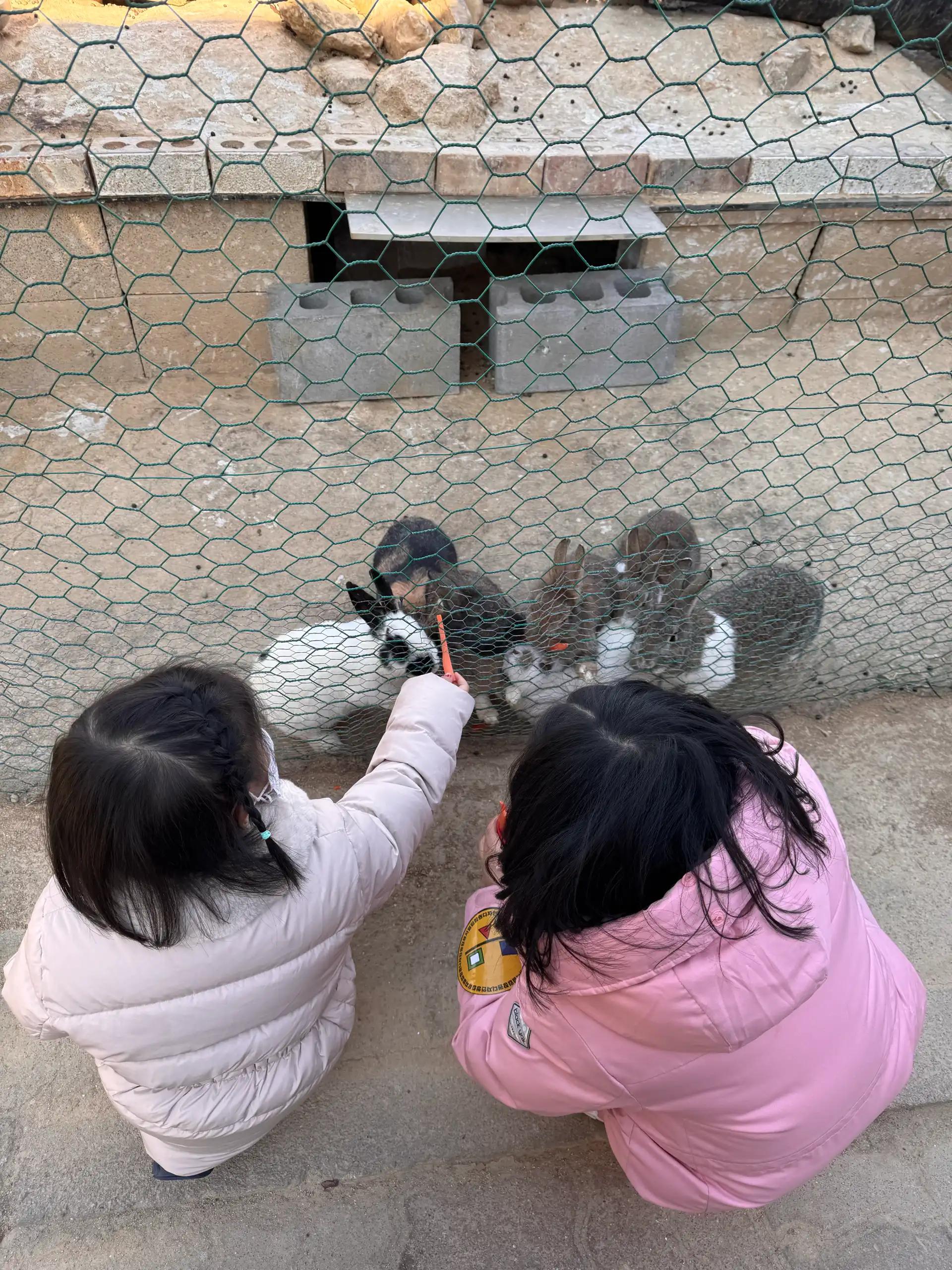 크루톡 이미지 6