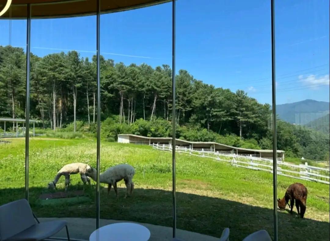 크루톡 이미지 2