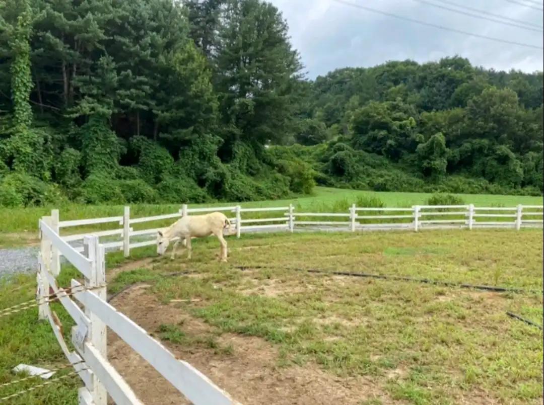 크루톡 이미지 4