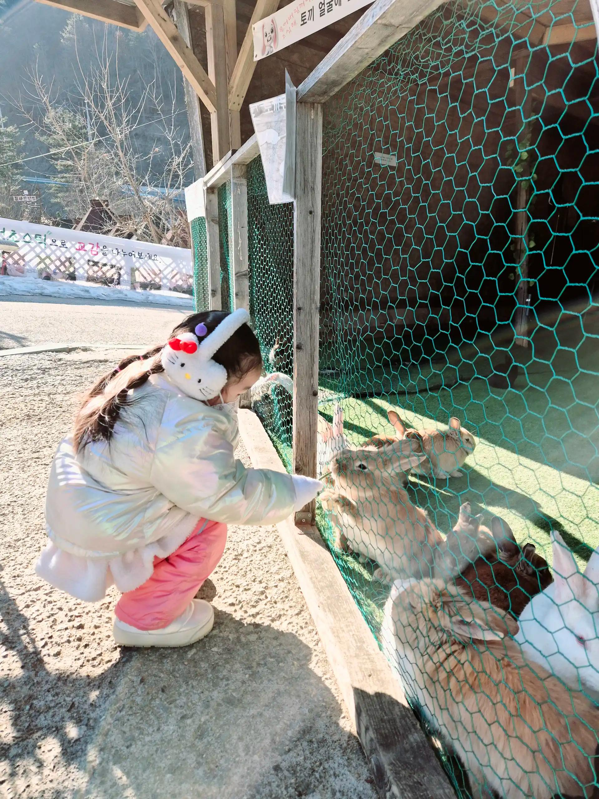 크루톡 이미지 1