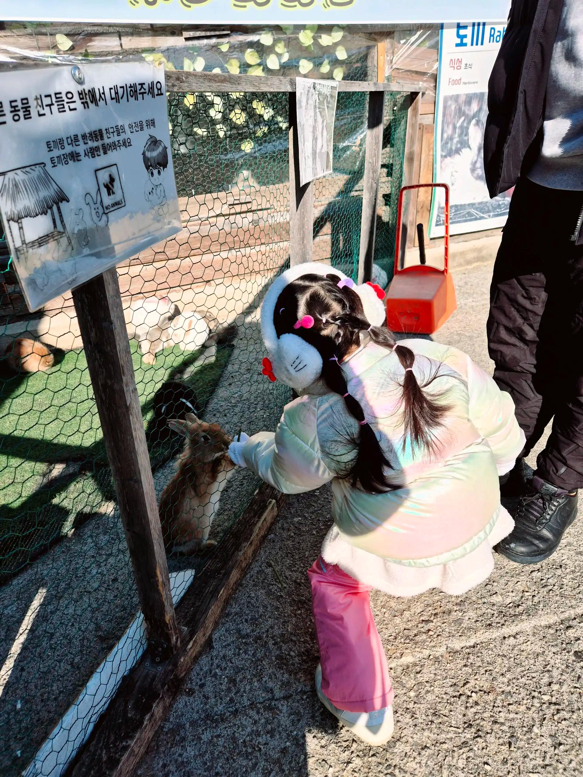 크루톡 이미지 2