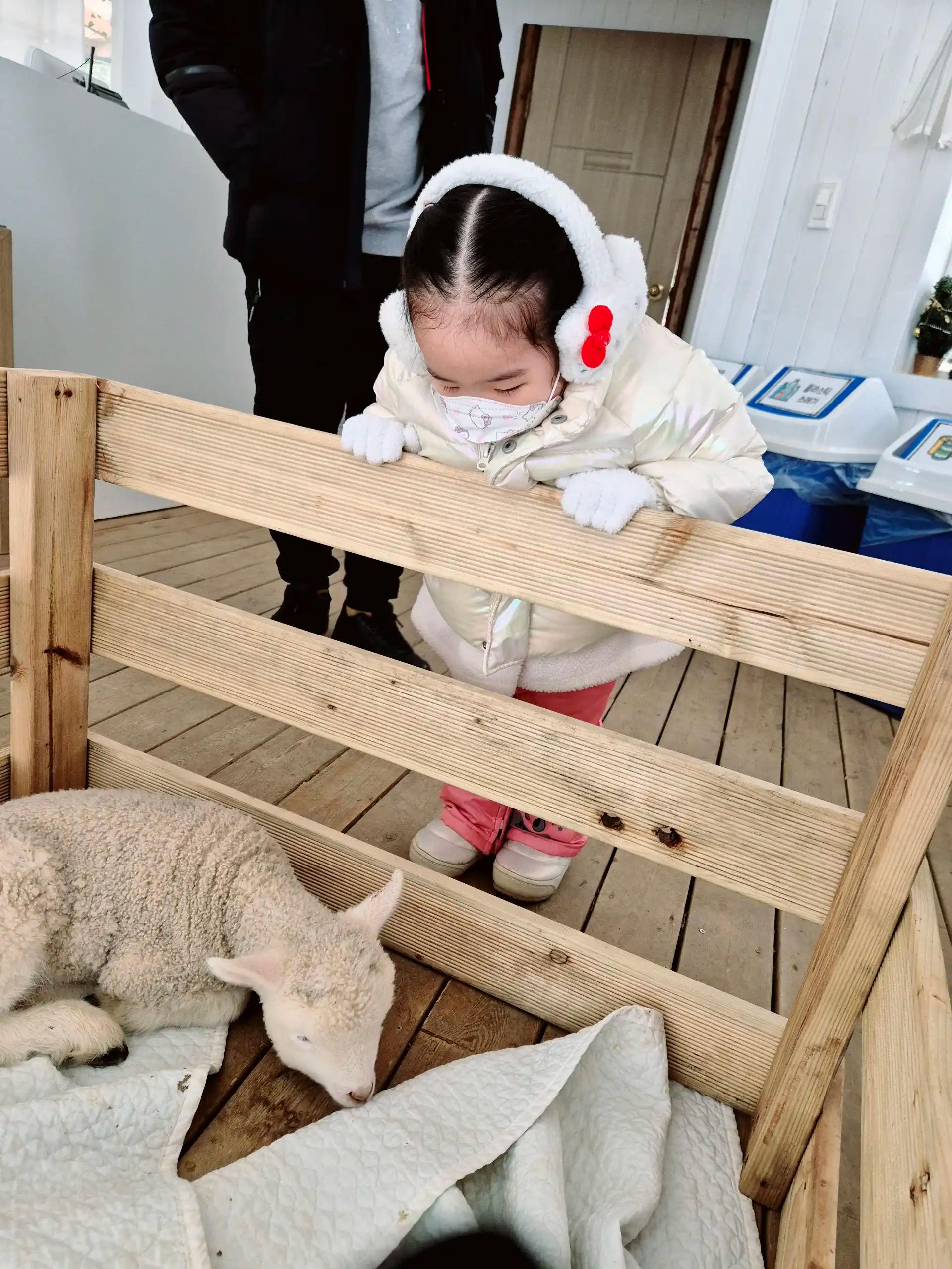 크루톡 이미지 3