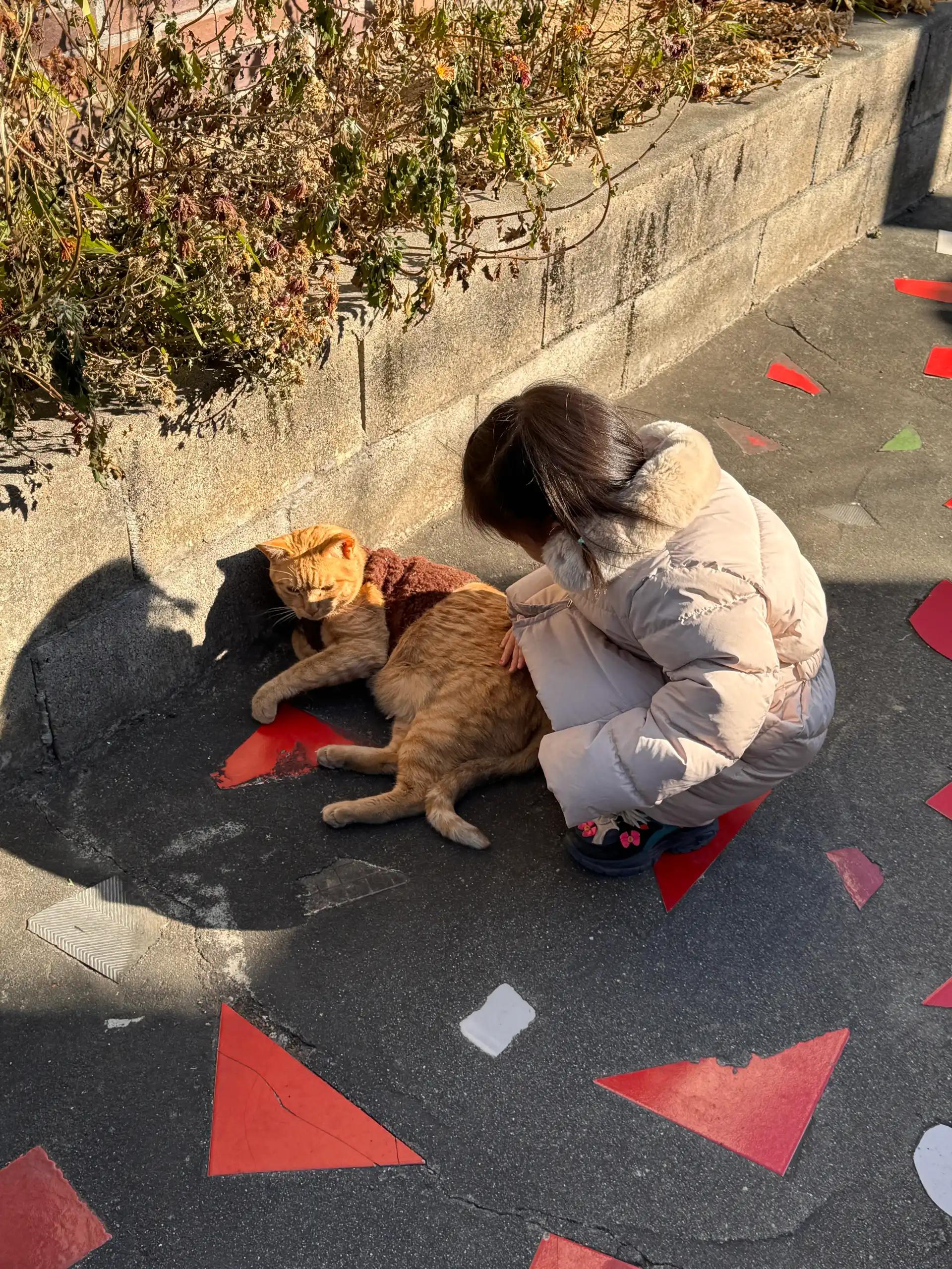 크루톡 이미지 1