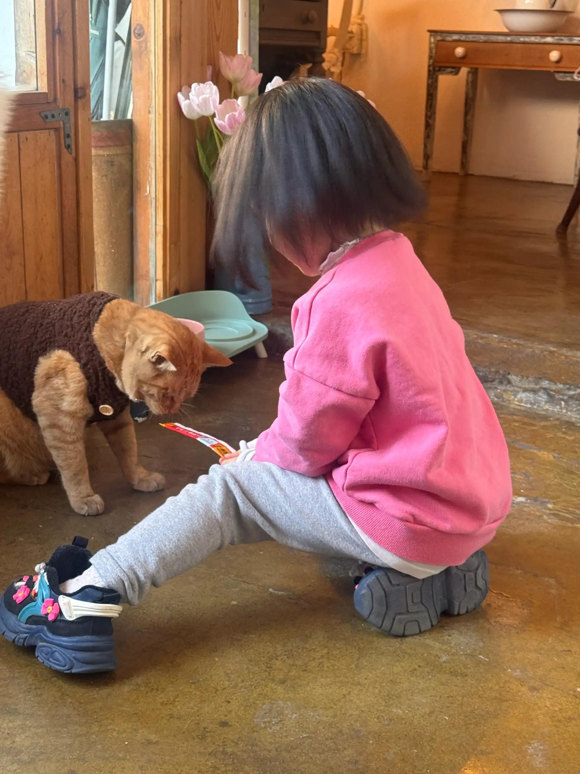 크루톡 이미지 3