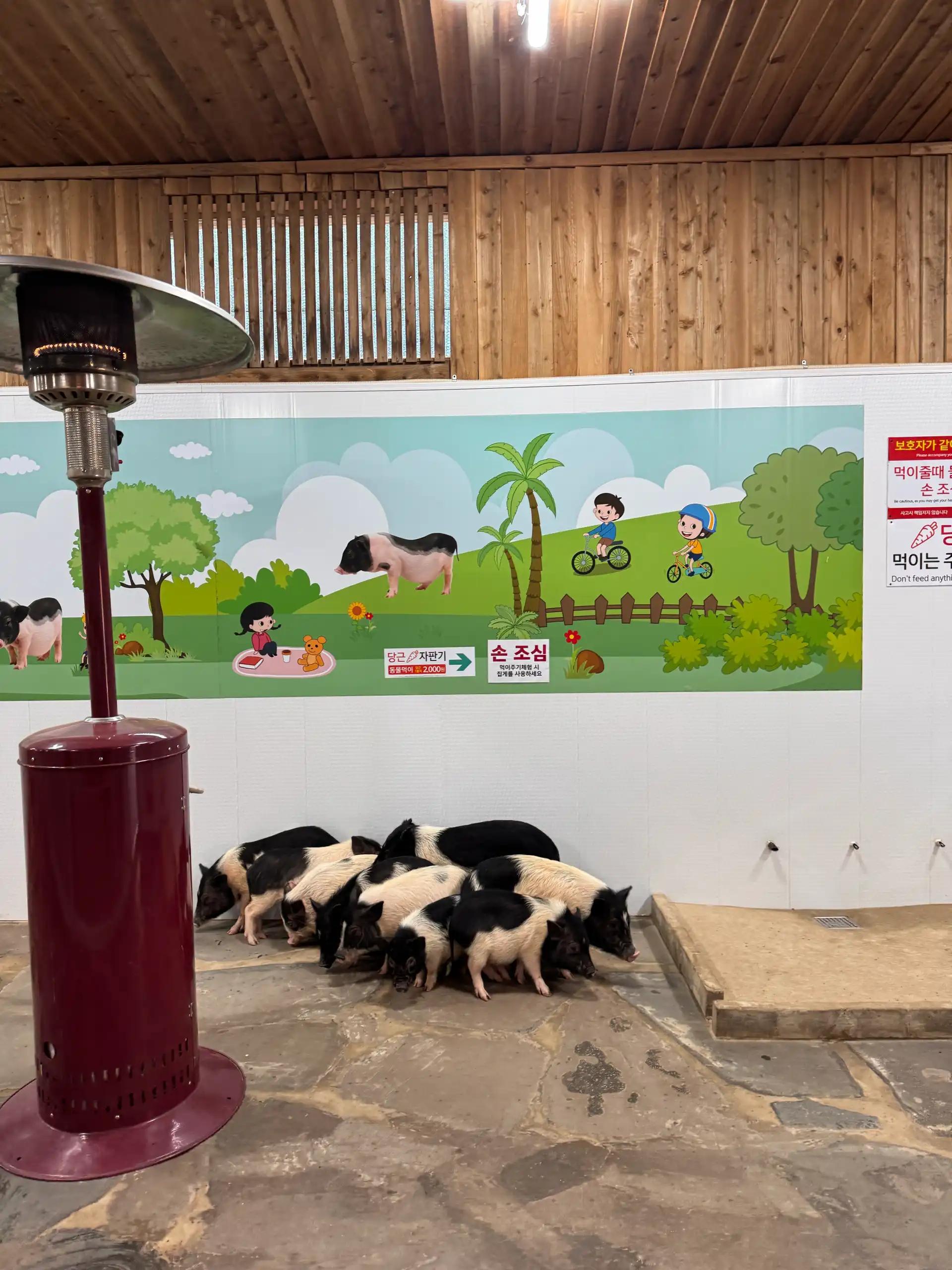 크루톡 이미지 4