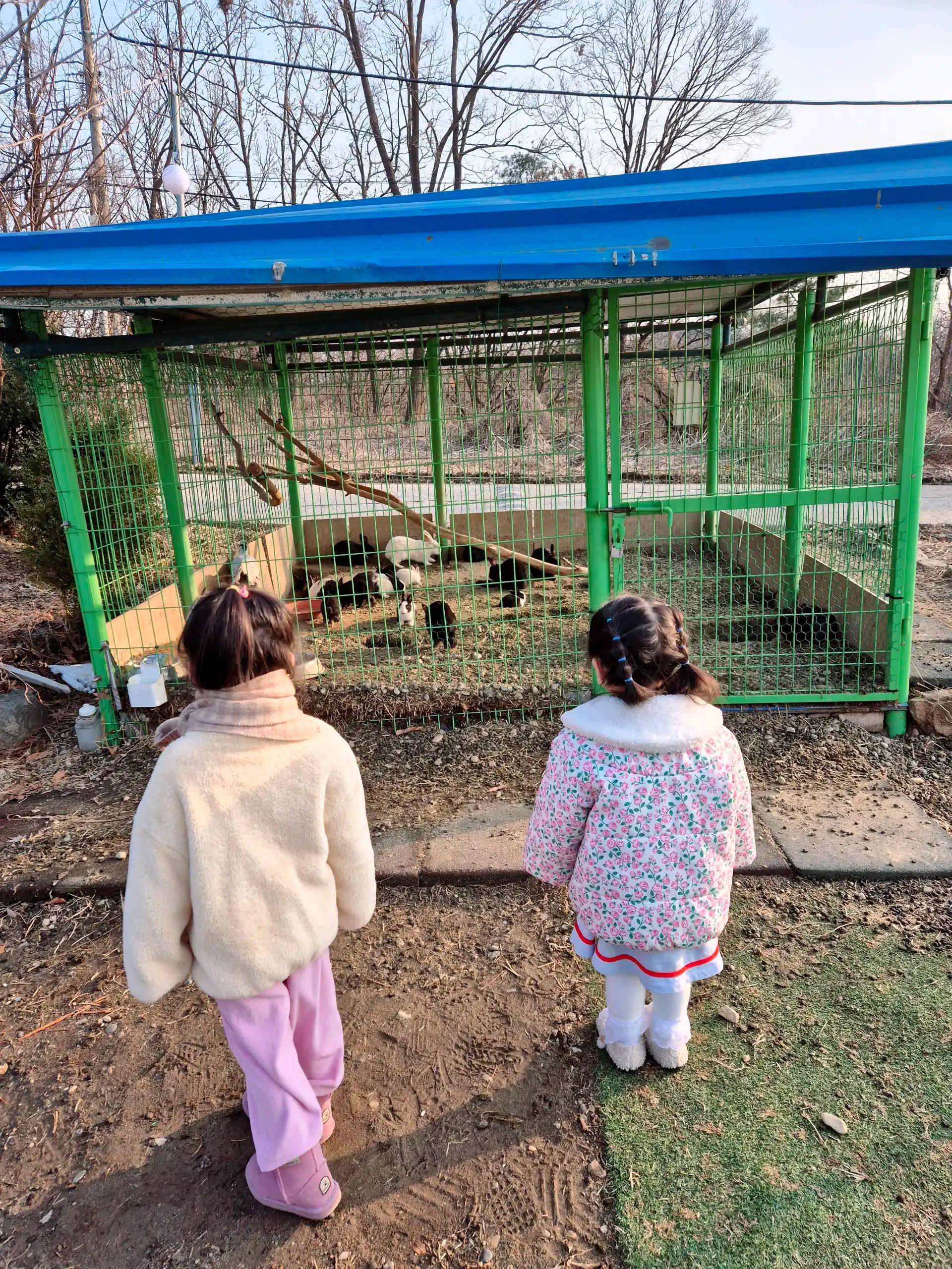 크루톡 이미지 2