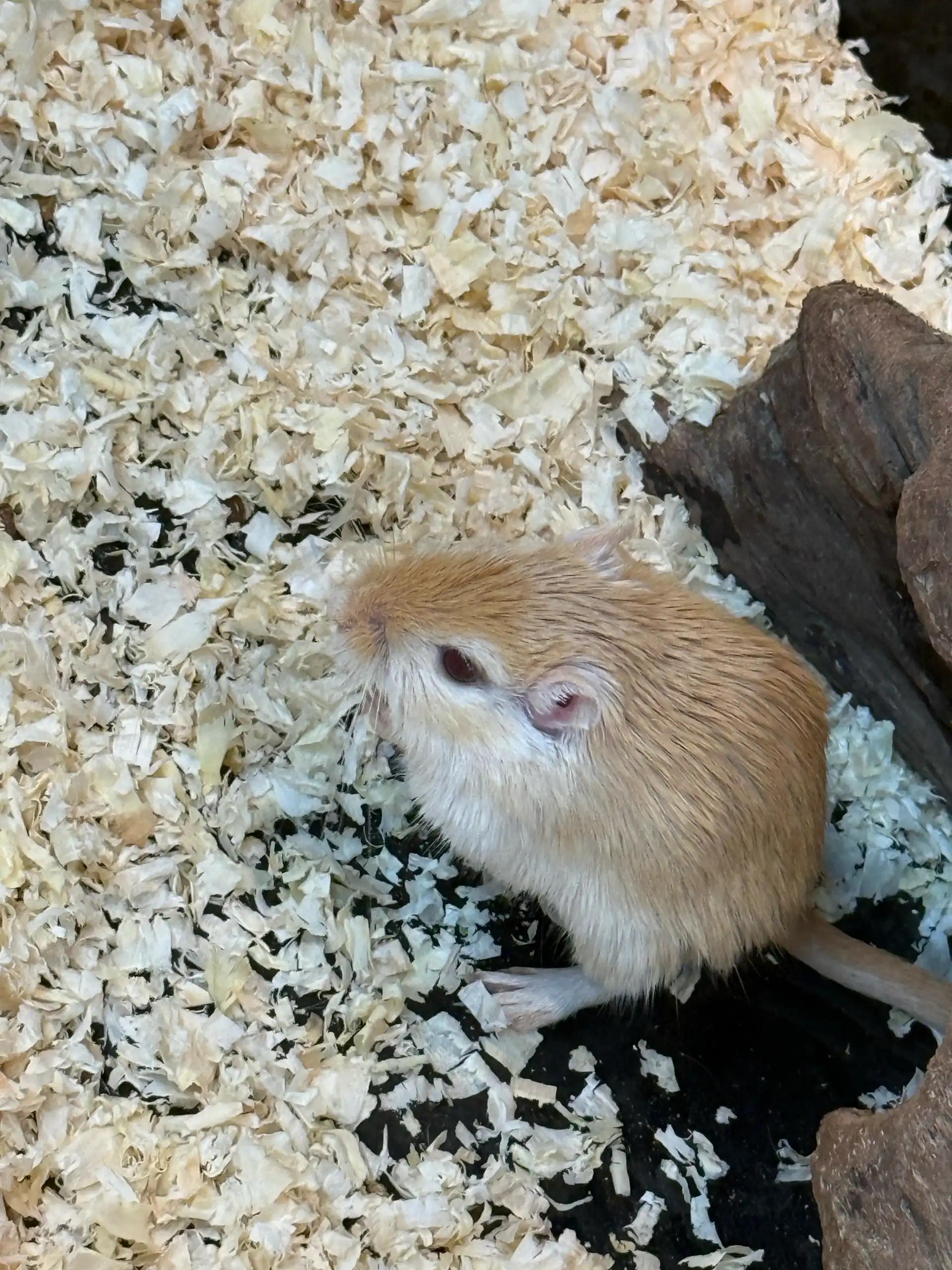 크루톡 이미지 2