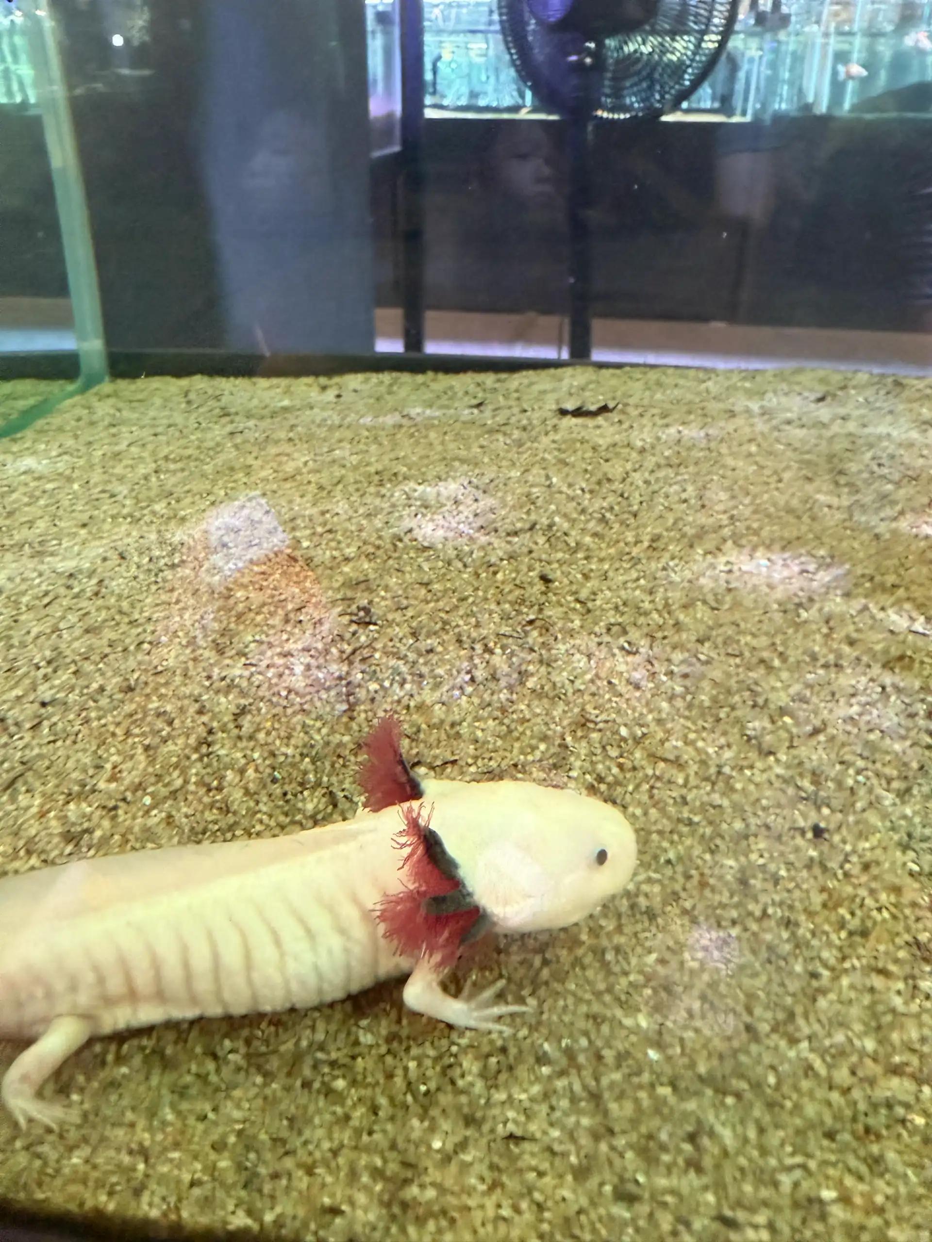 크루톡 이미지 4