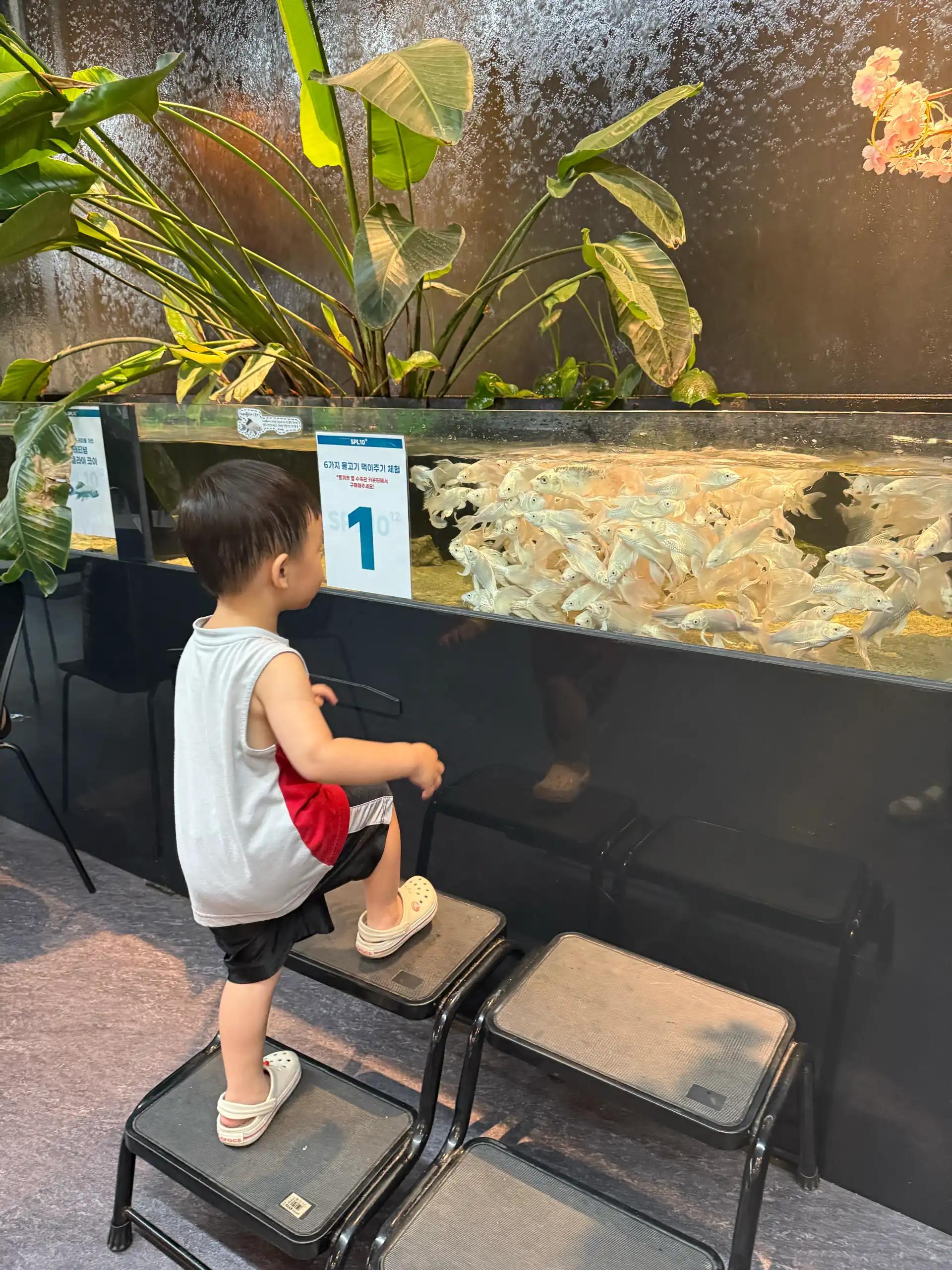 크루톡 이미지 8