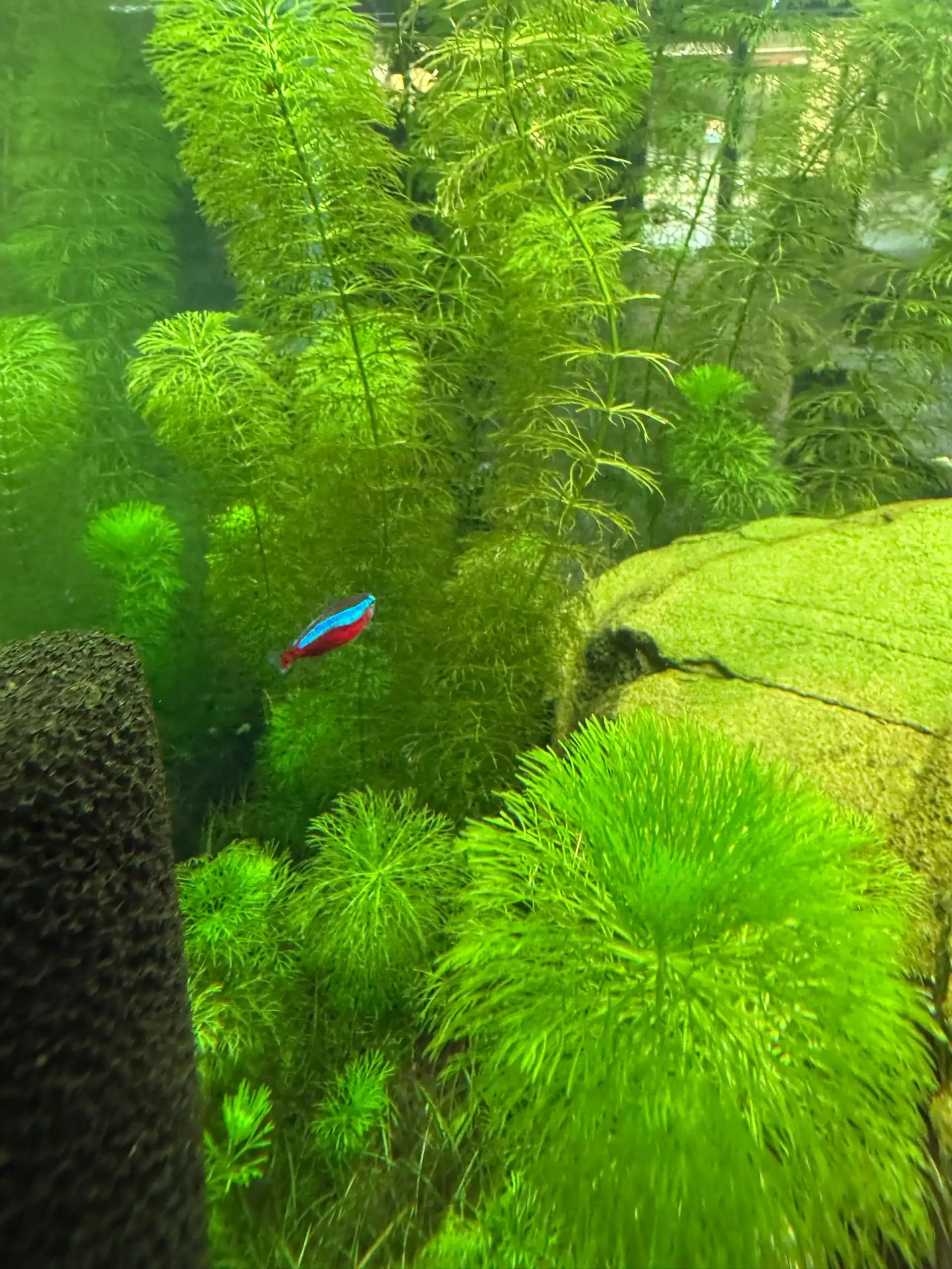 크루톡 이미지 10