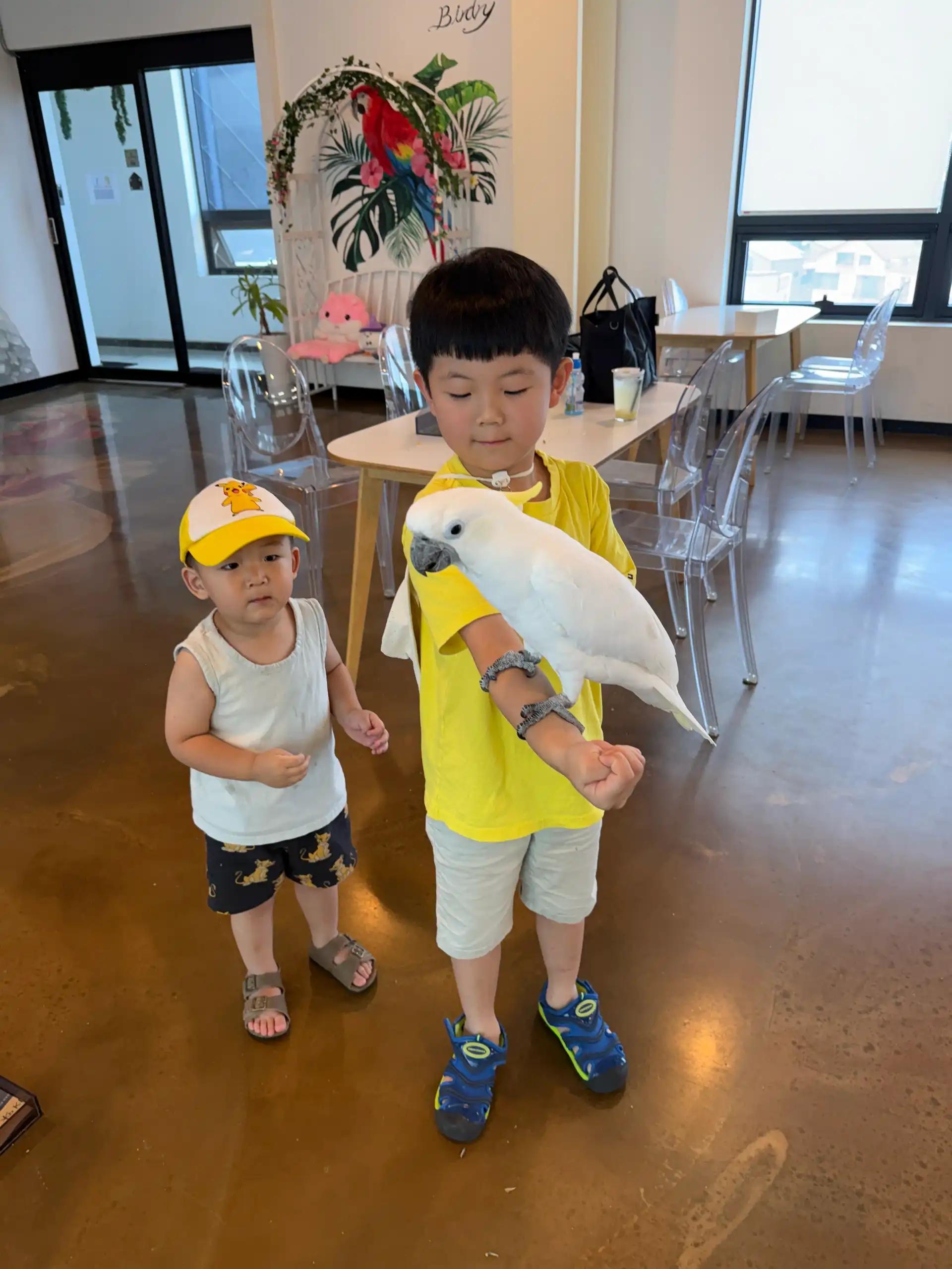 크루톡 이미지 1