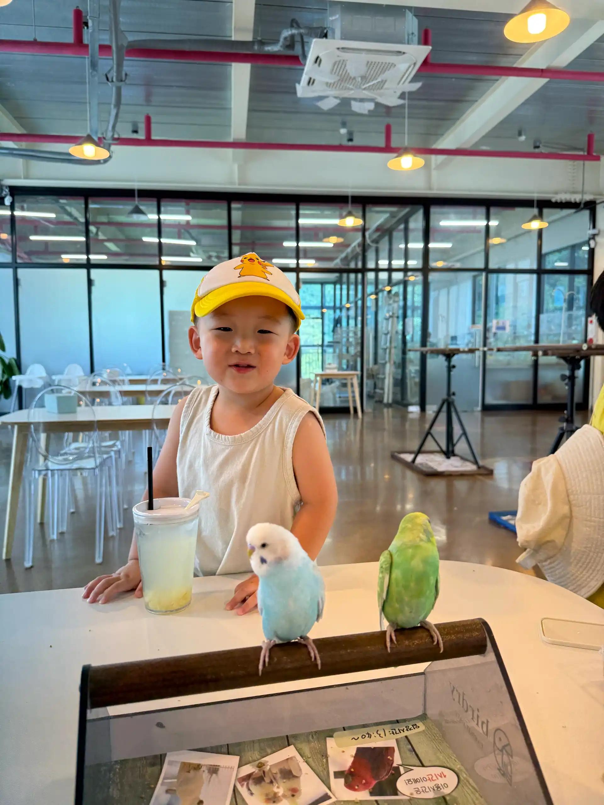 크루톡 이미지 2