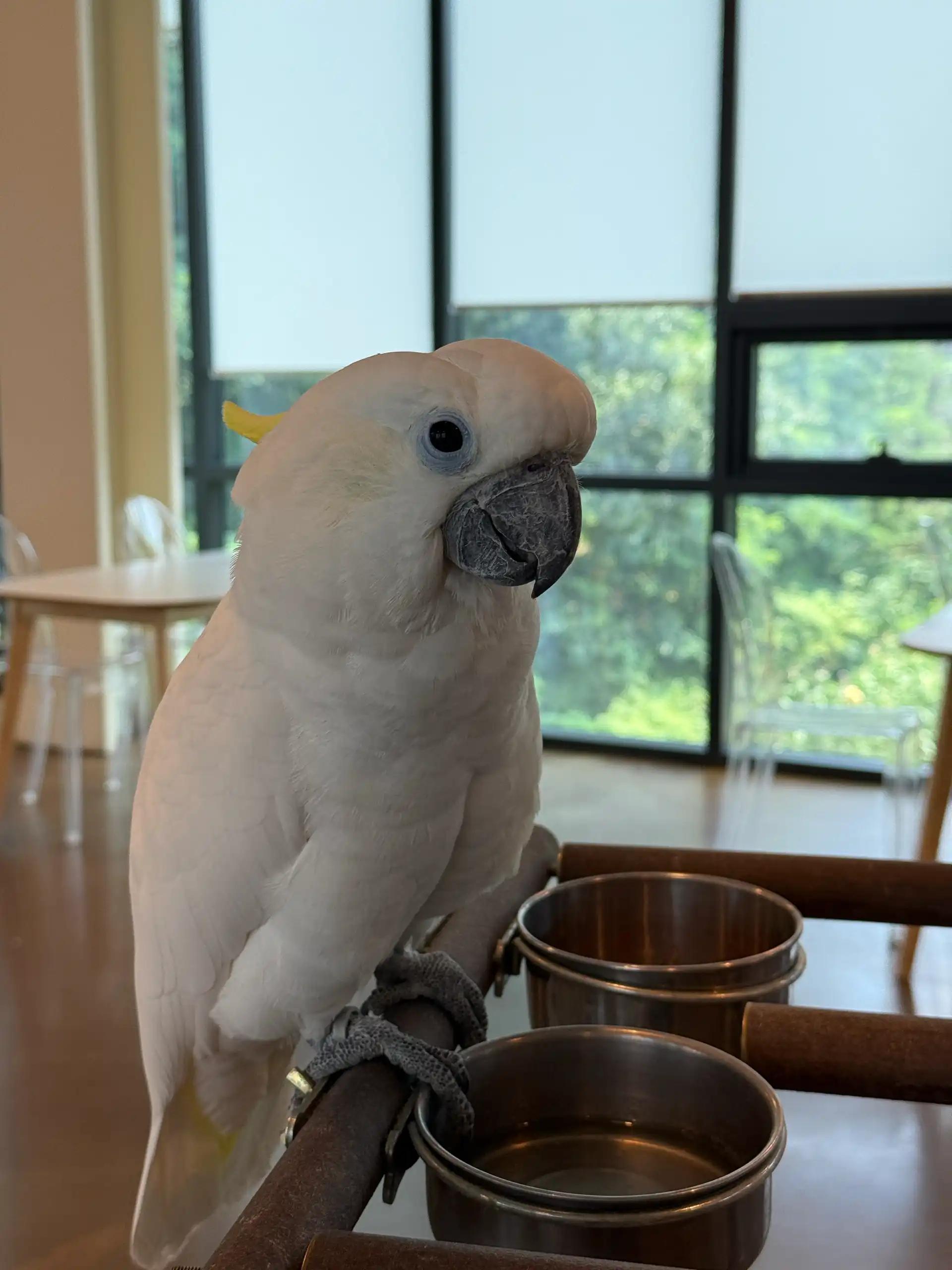 크루톡 이미지 4