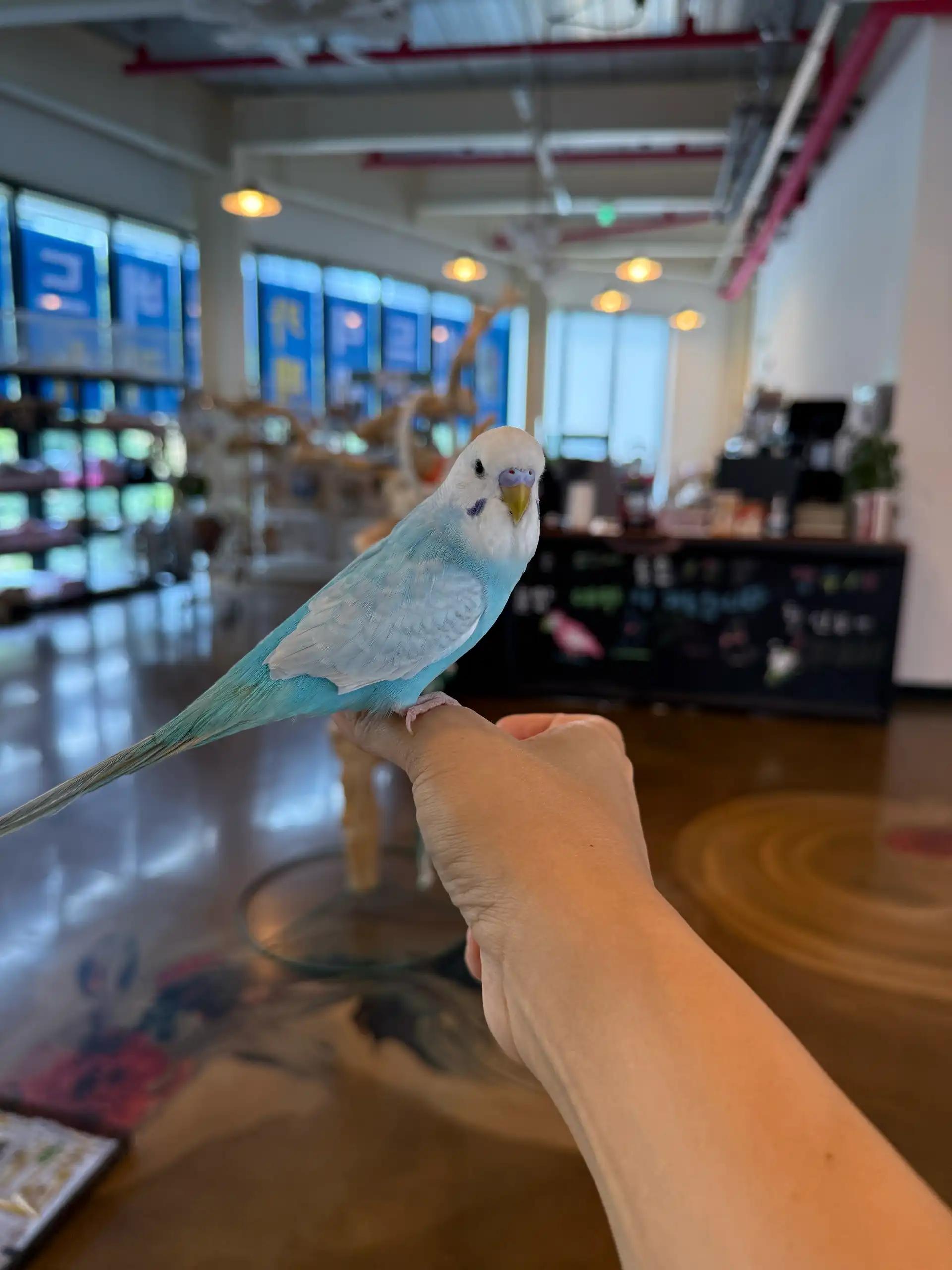 크루톡 이미지 6