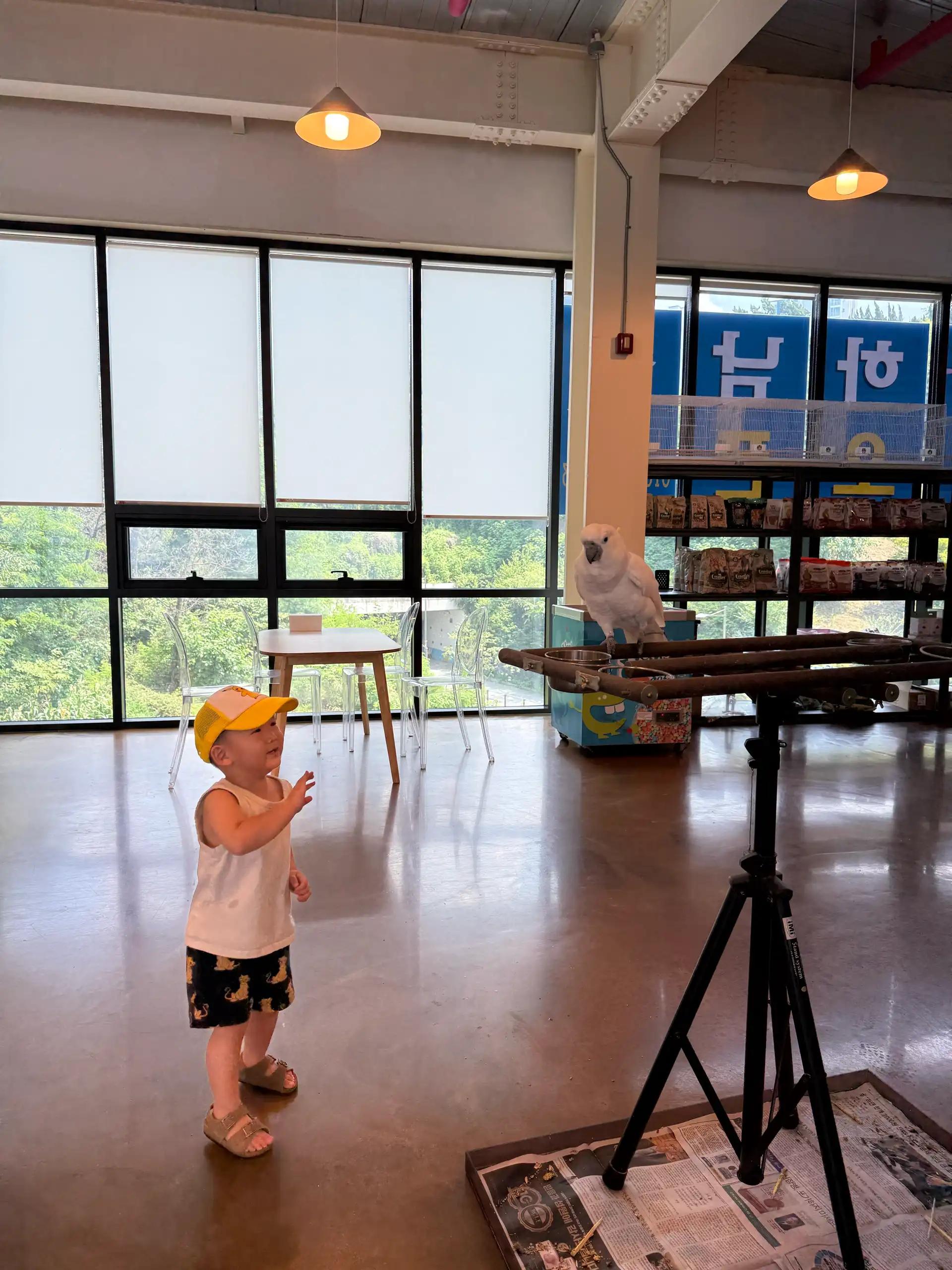 크루톡 이미지 7